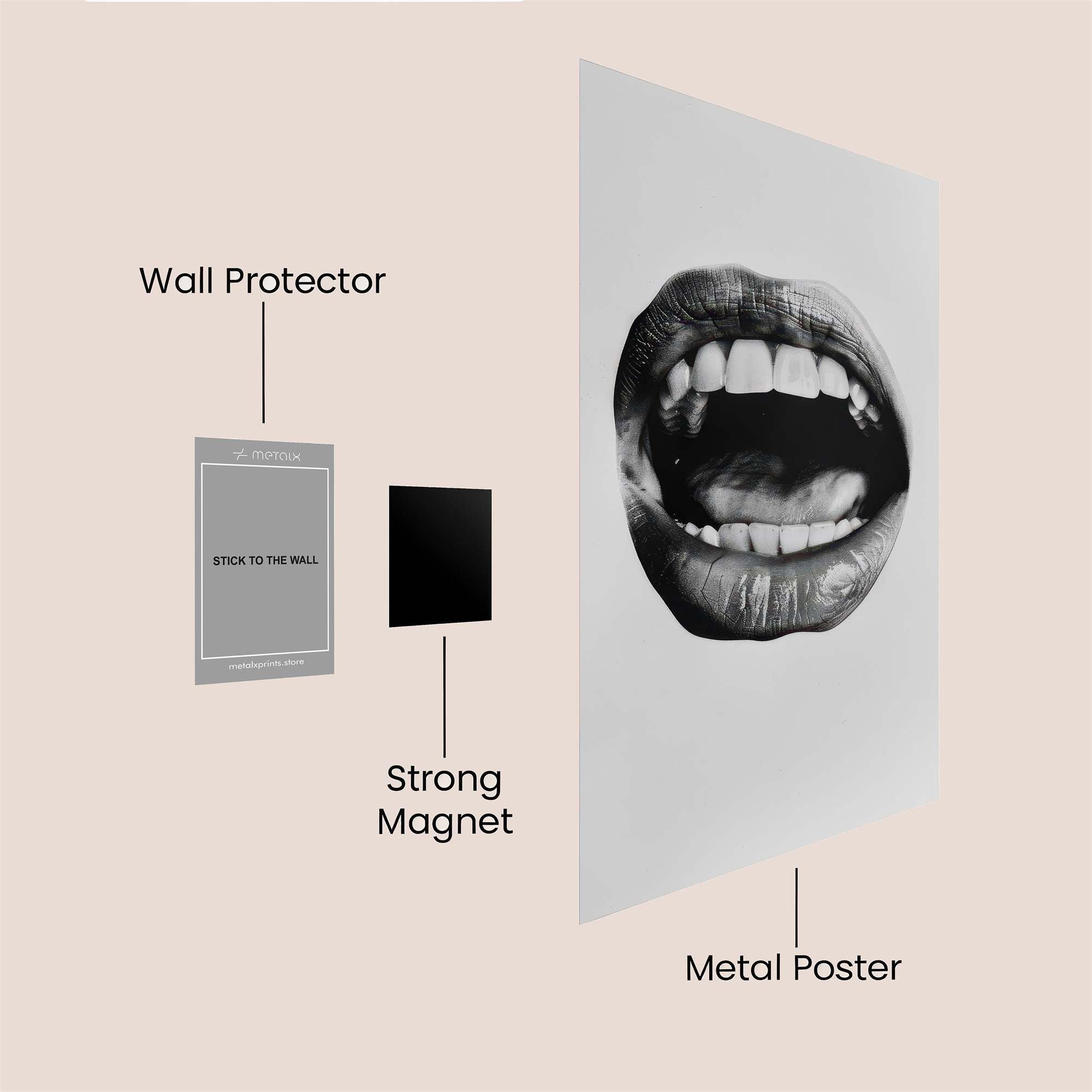 Mouth Echo Safe Wall Magnetic / M