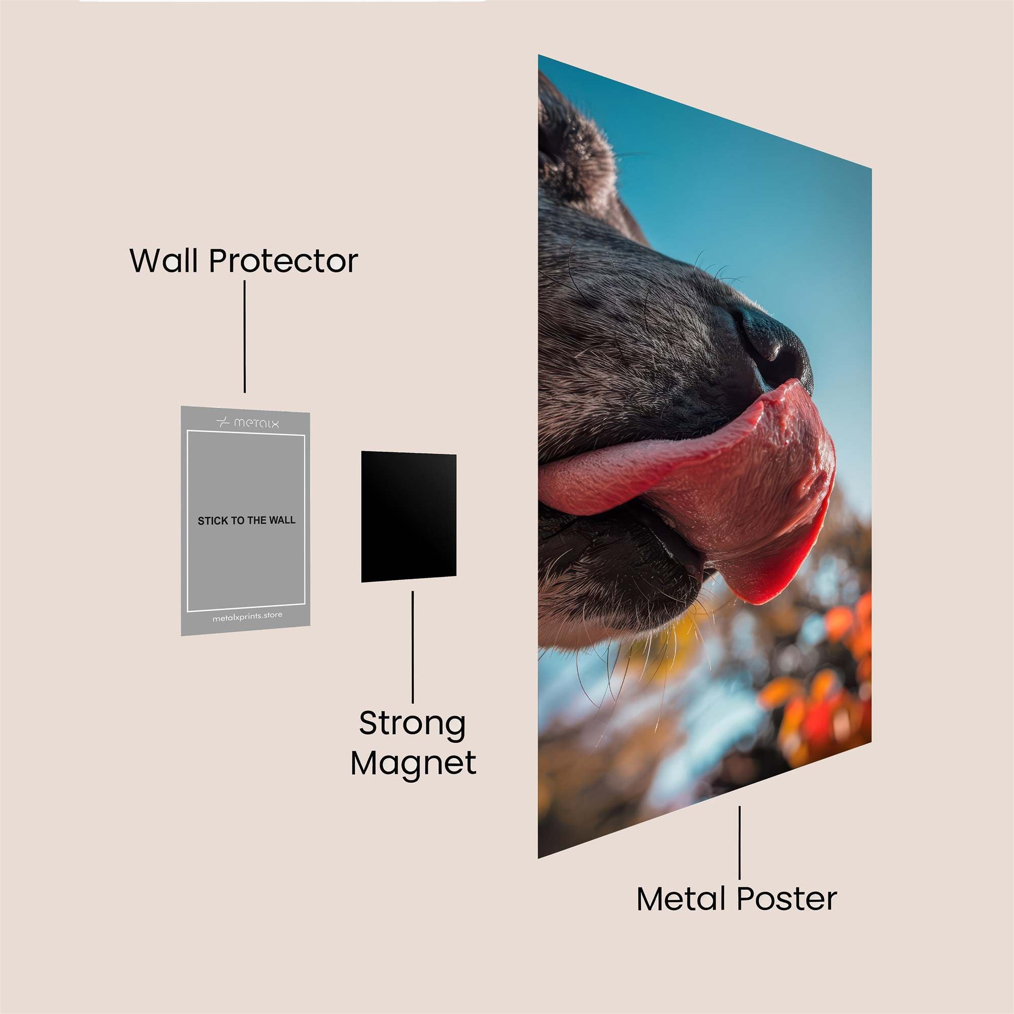 Dog Bliss Safe Wall Magnetic / M