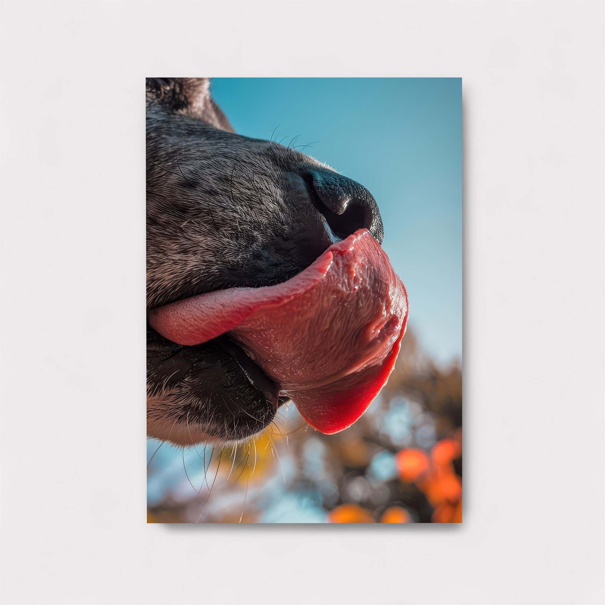 Dog Bliss Safe Wall Magnetic / M