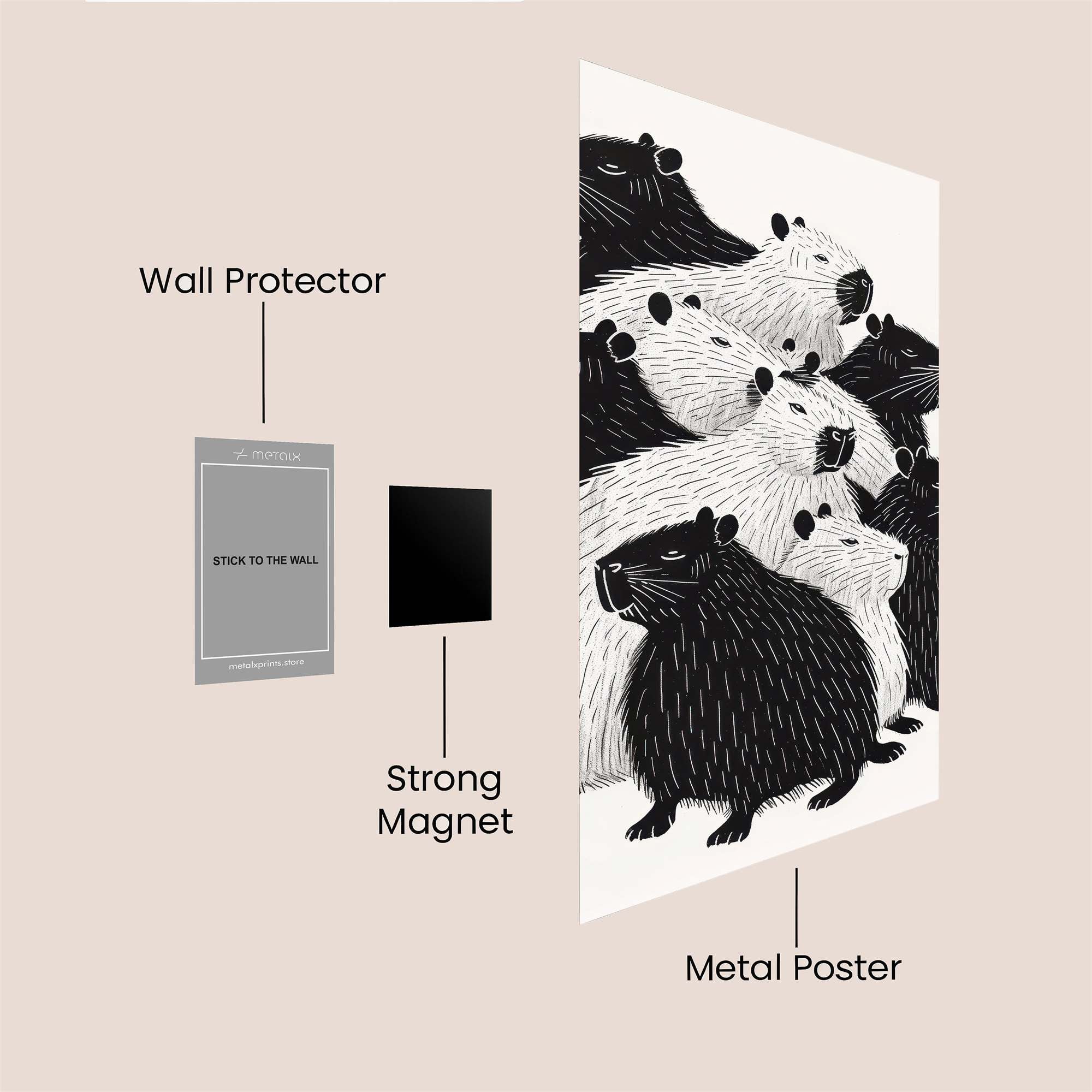Capybara Cozy Safe Wall Magnetic / M