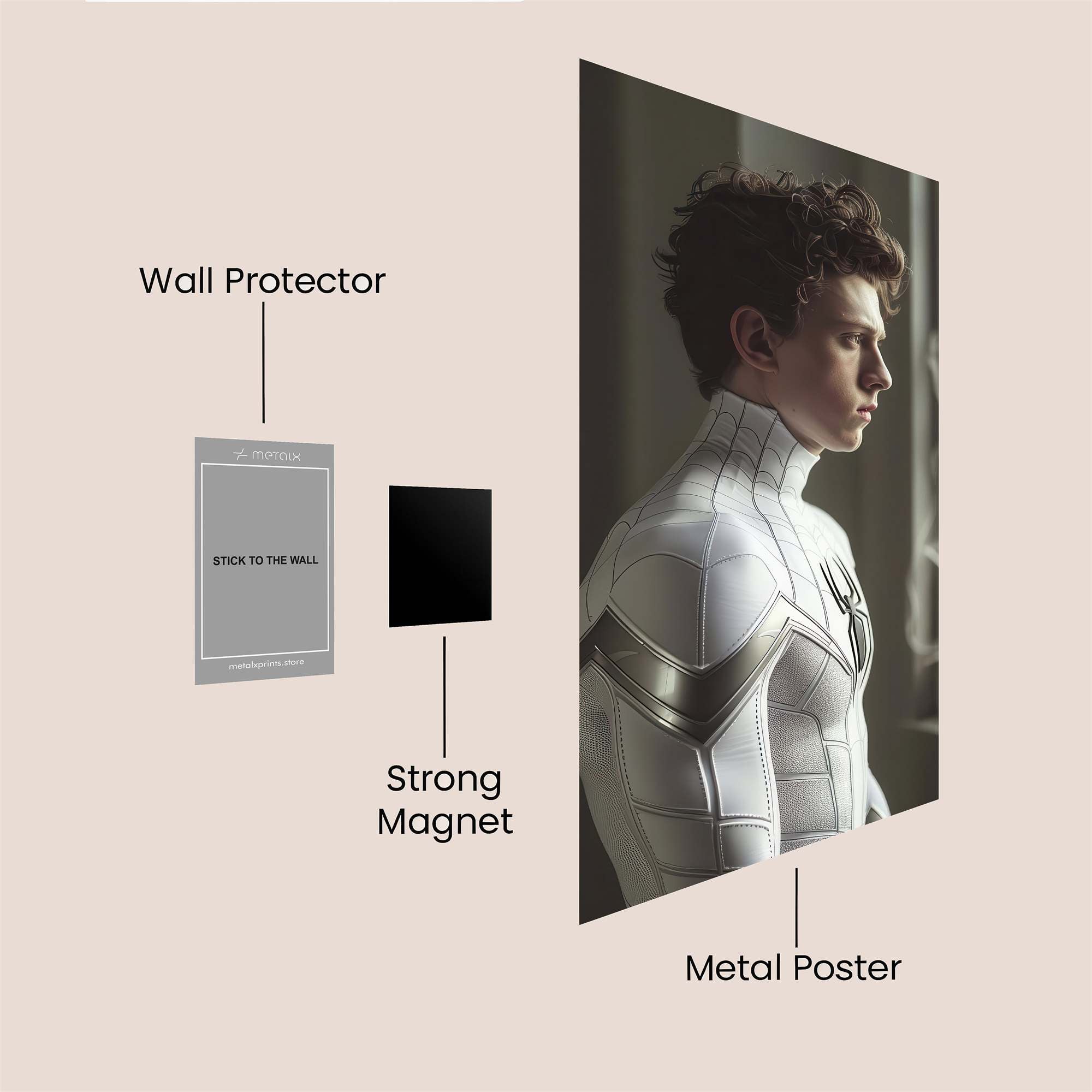 Spider Reflective Safe Wall Magnetic / M