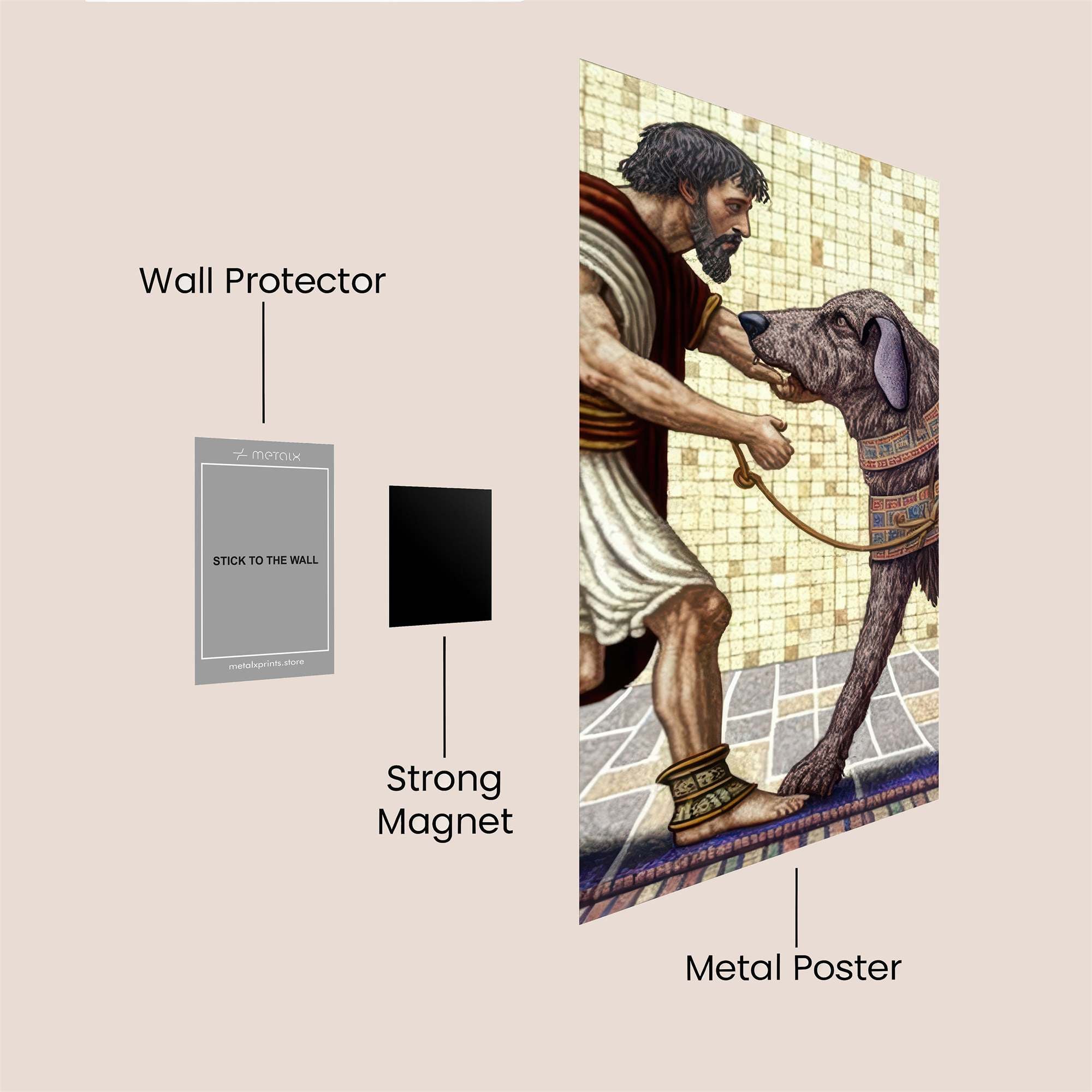 Argus Loyal Safe Wall Magnetic / M