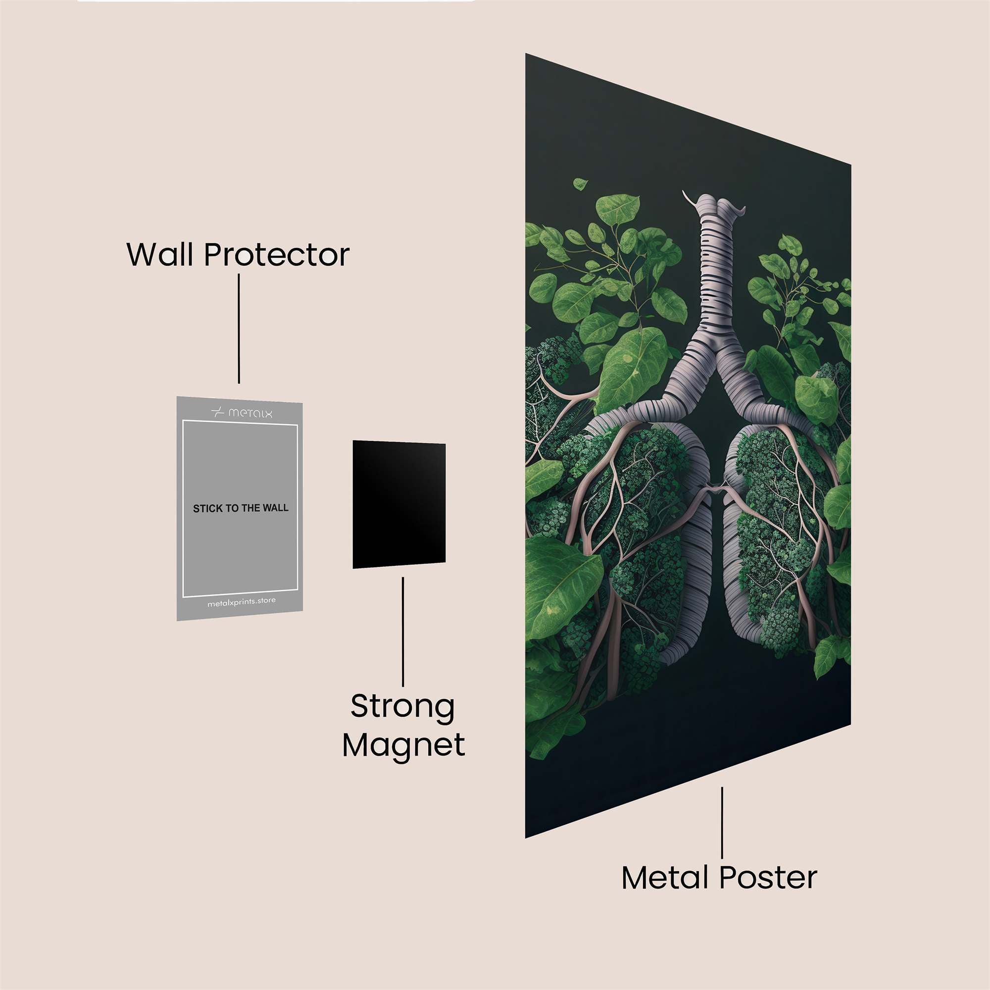 Lungs Verdant Safe Wall Magnetic / M