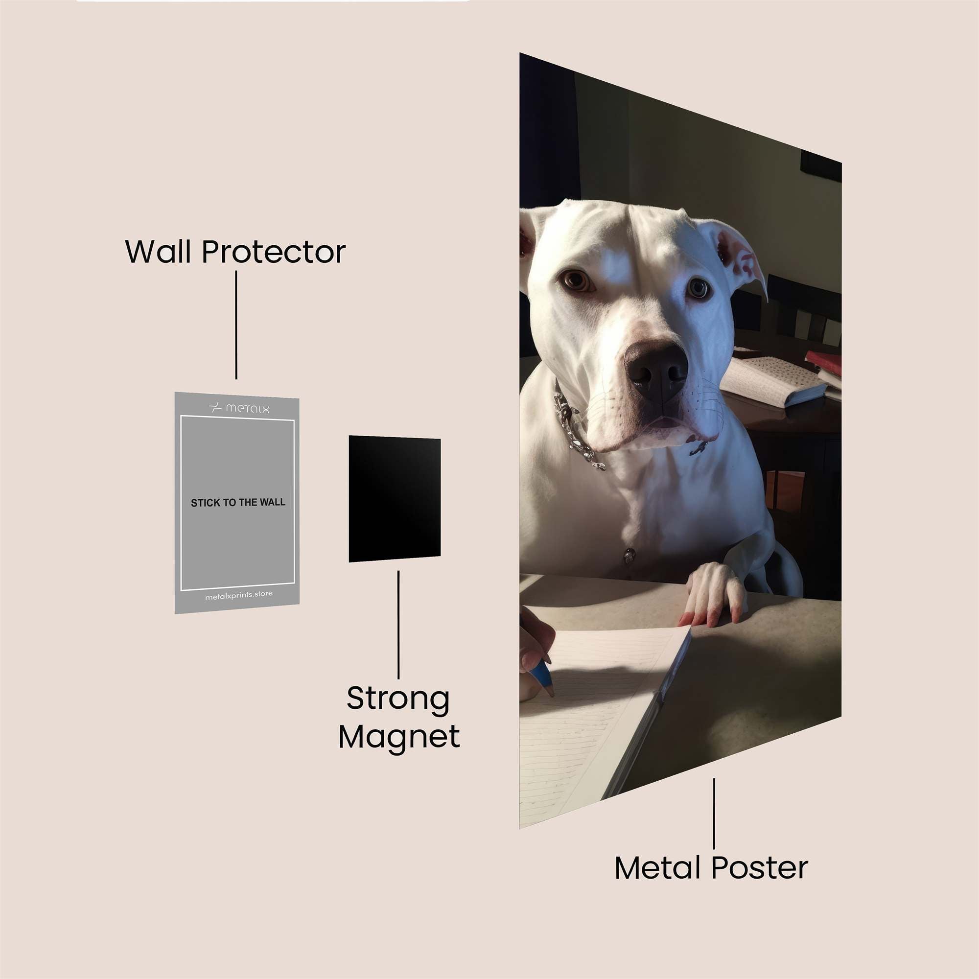 Dog Studious Safe Wall Magnetic / M