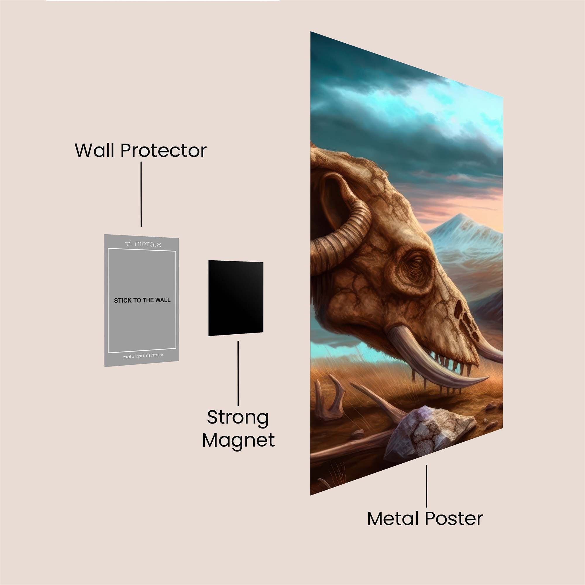 Skull Serenity Safe Wall Magnetic / M