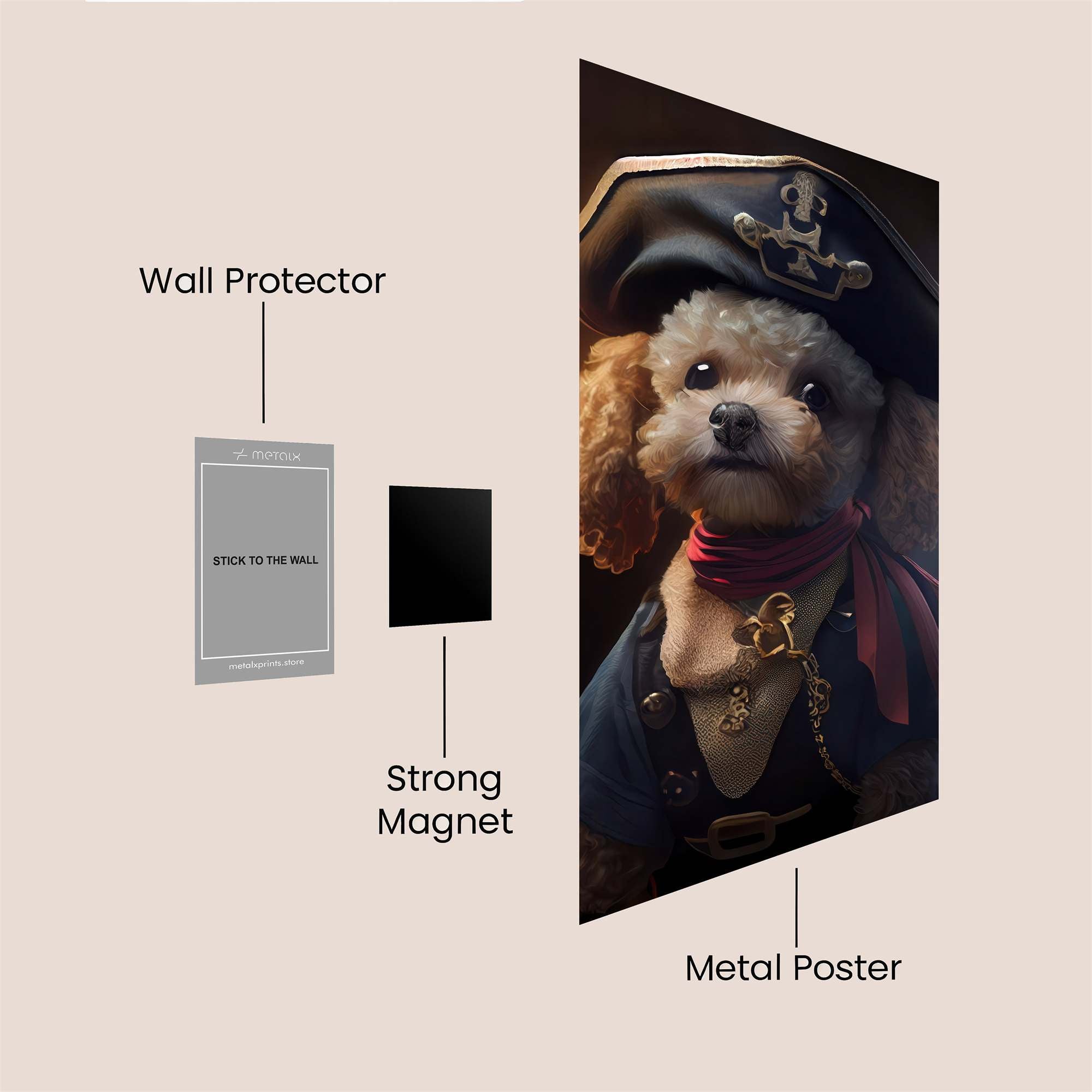 Poodle Pirate Safe Wall Magnetic / M