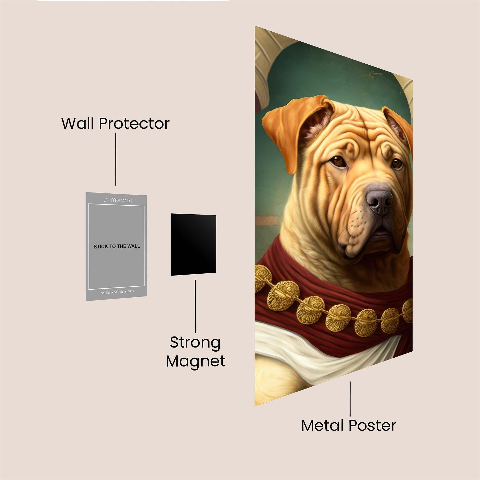 Caesar Regal Safe Wall Magnetic / M