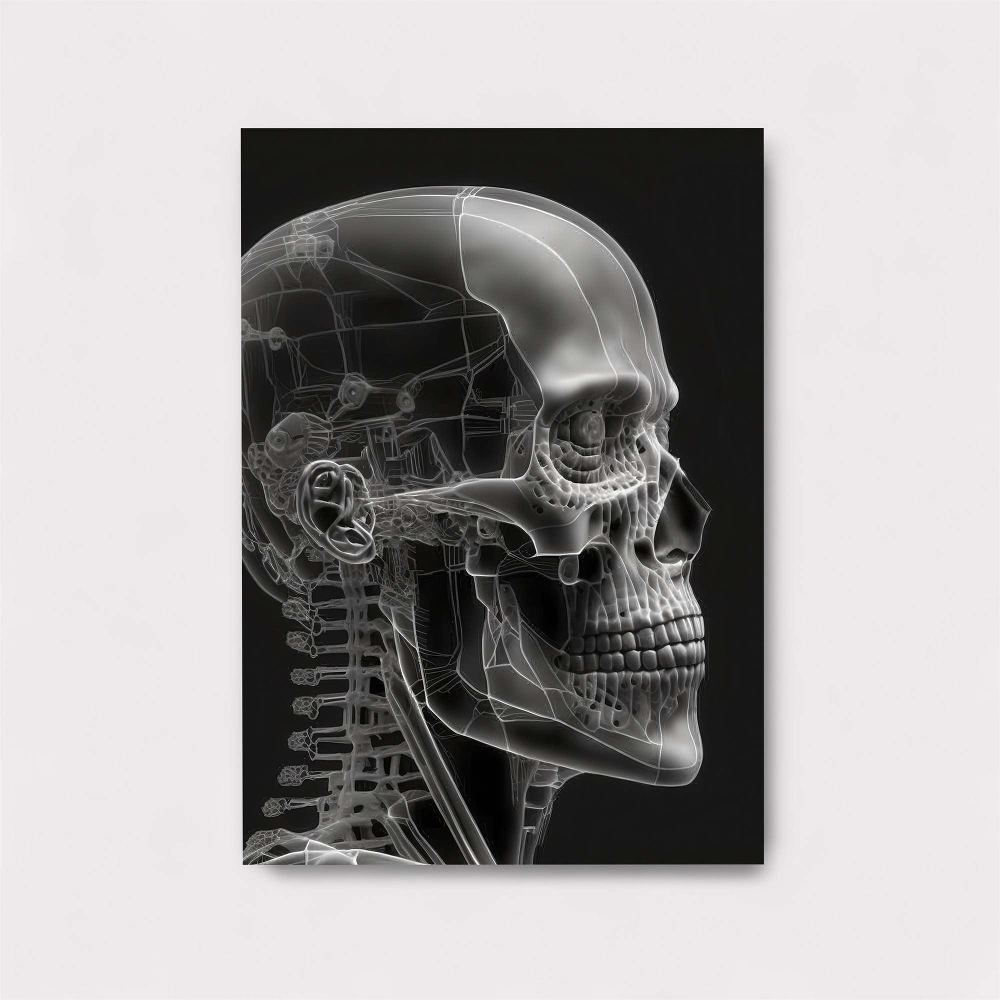 Skull Serenity Safe Wall Magnetic / M