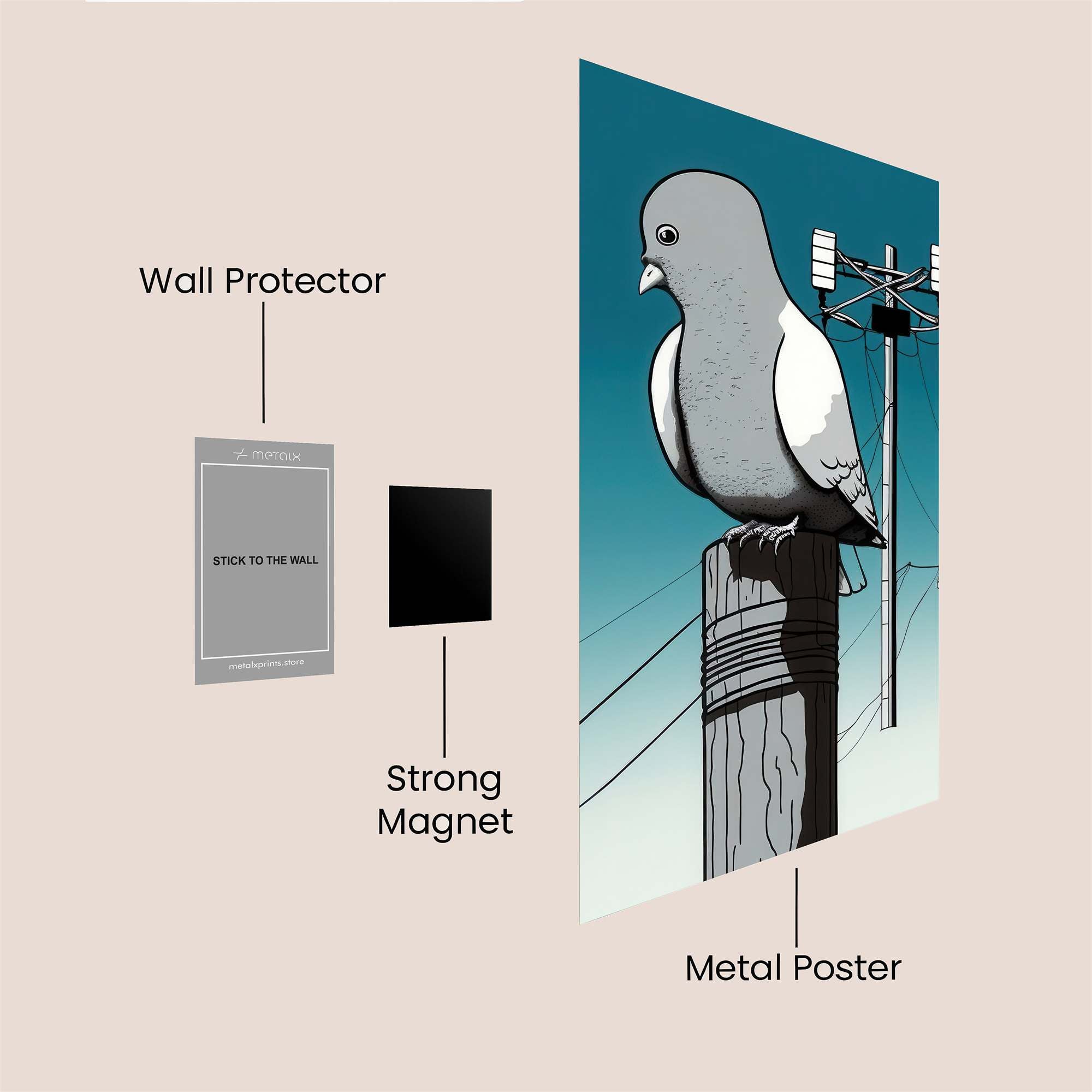 Pigeon Perch Safe Wall Magnetic / M