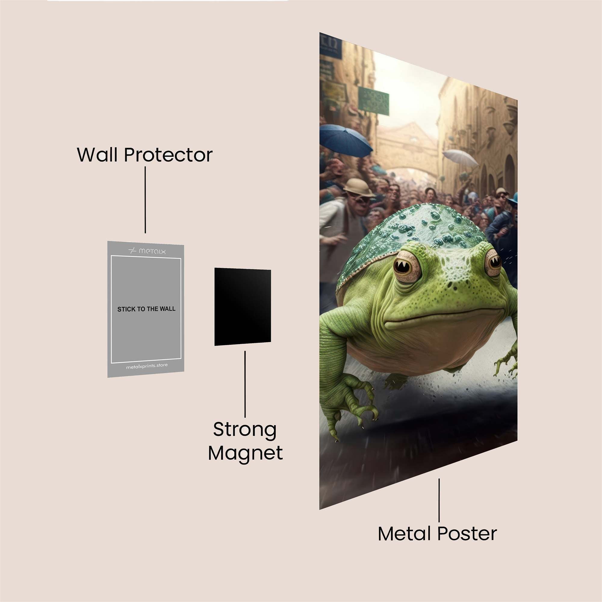 Frog Frenzy Safe Wall Magnetic / M