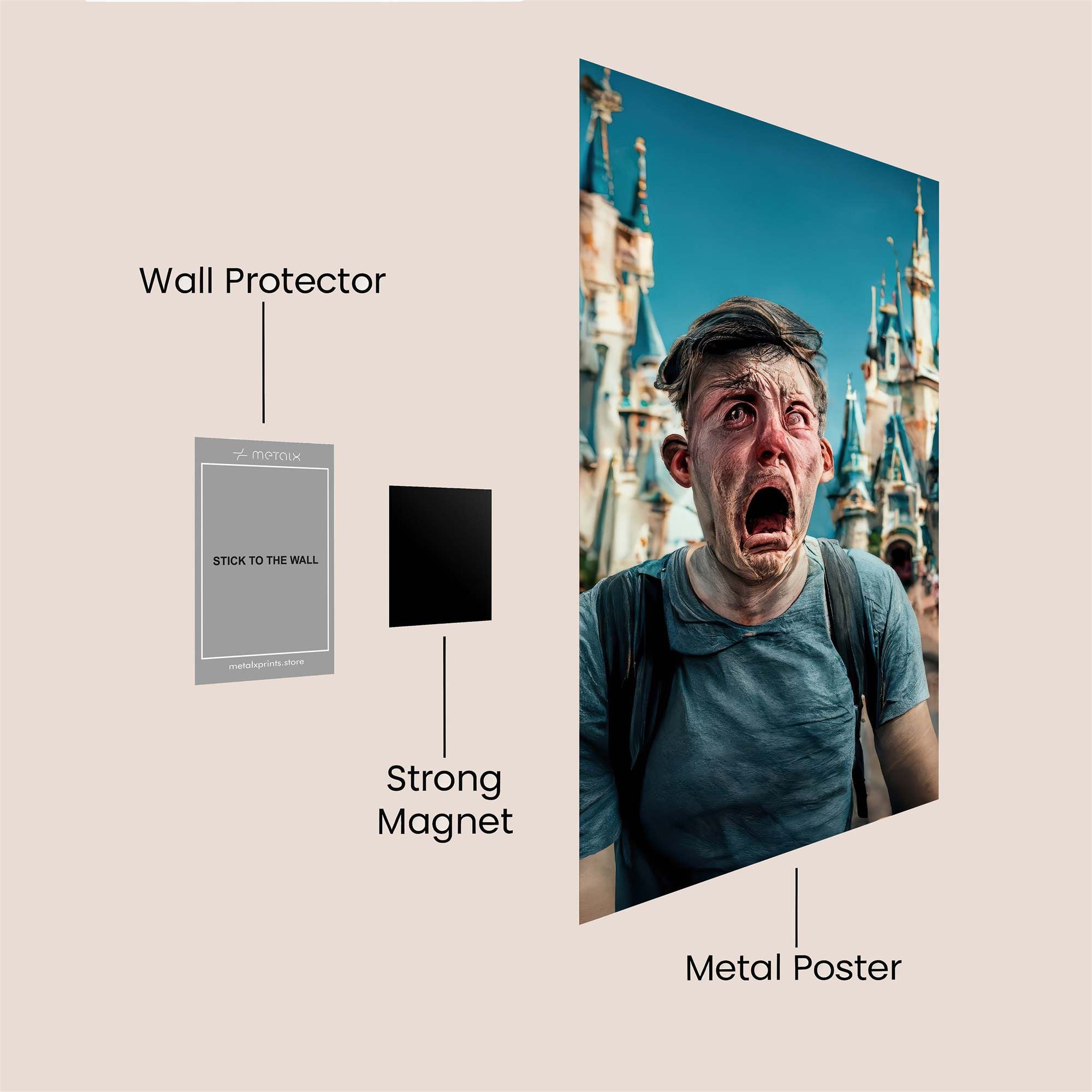 Cinderella Distraught Safe Wall Magnetic / M