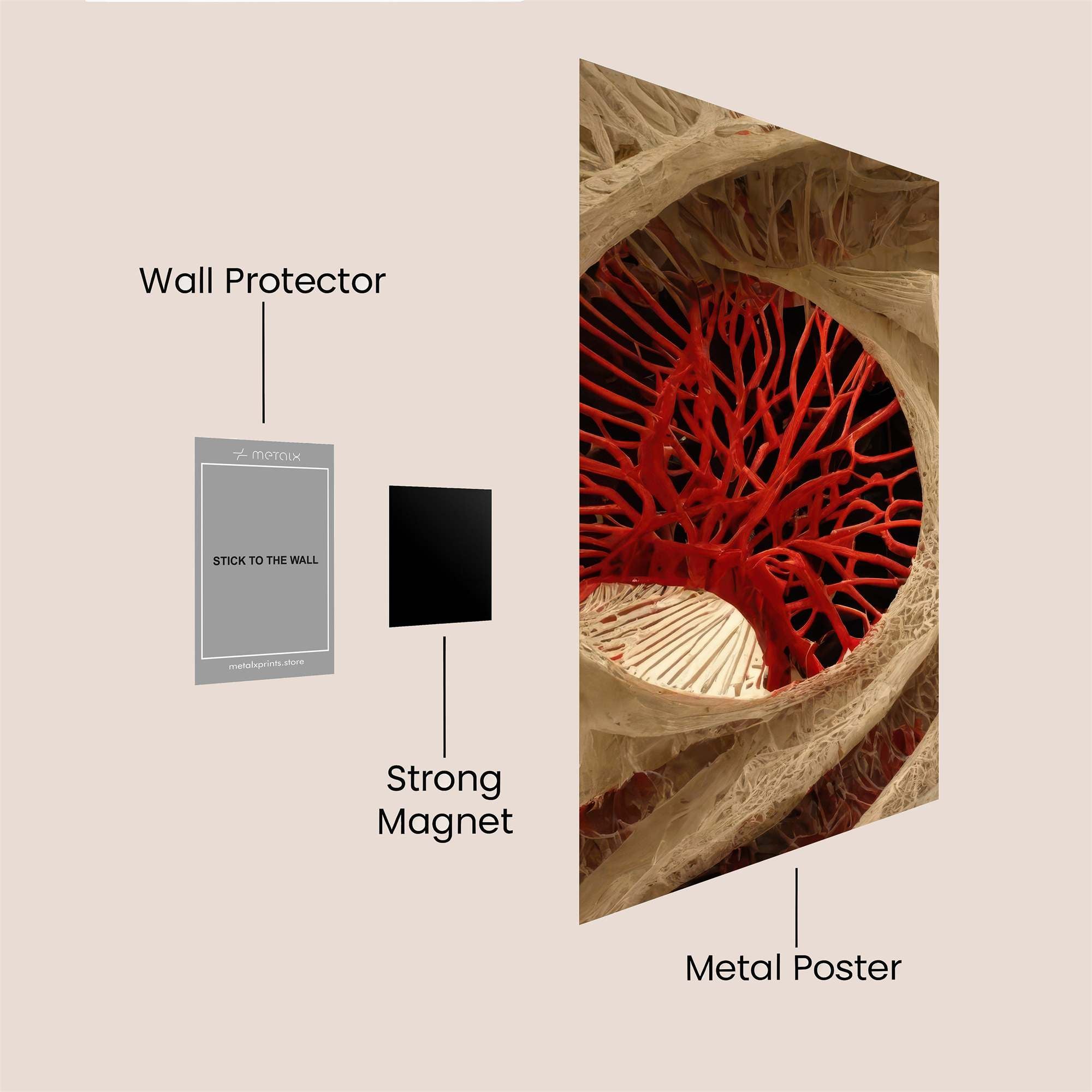 Bone Intricacy Safe Wall Magnetic / M