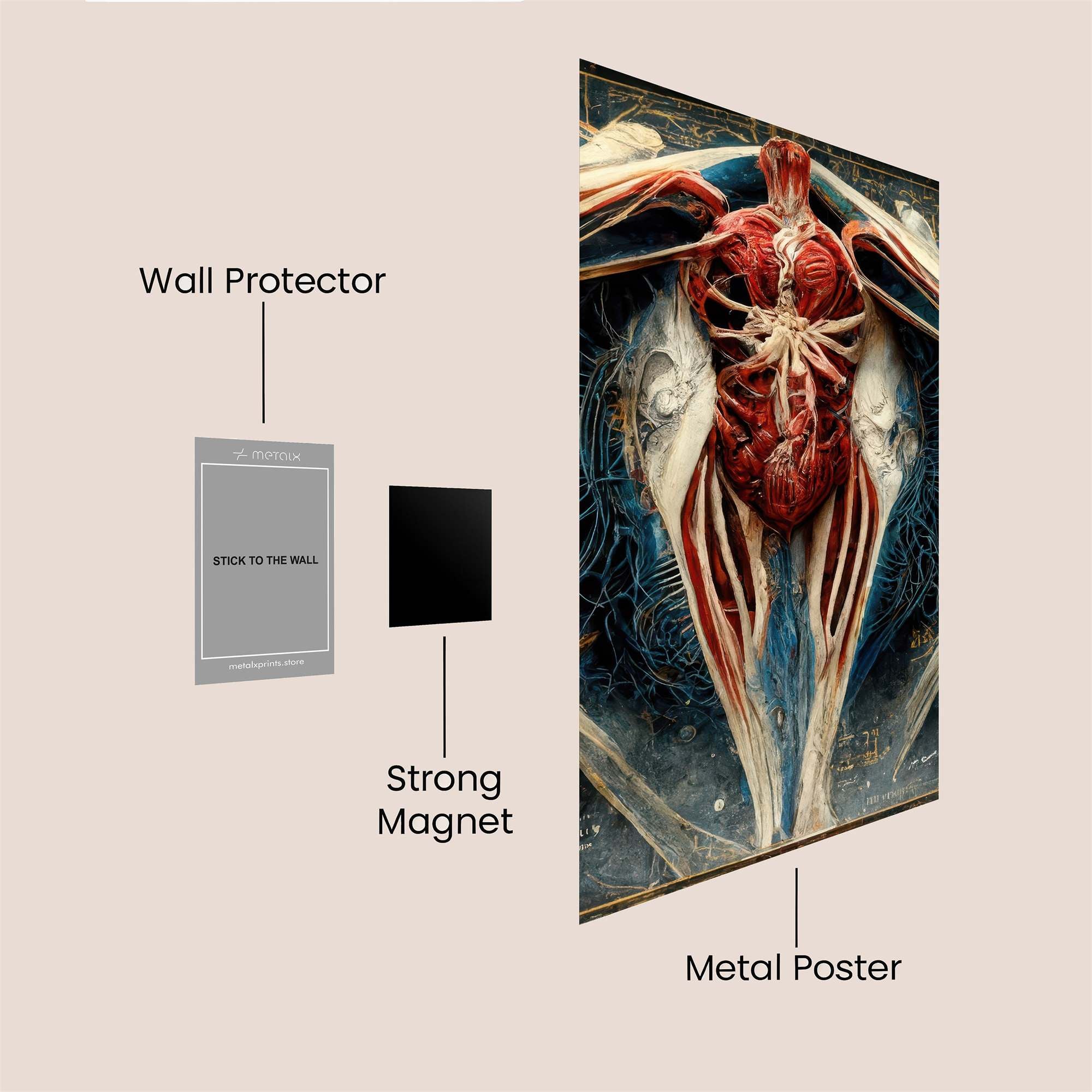 Heart Unveiled Safe Wall Magnetic / M