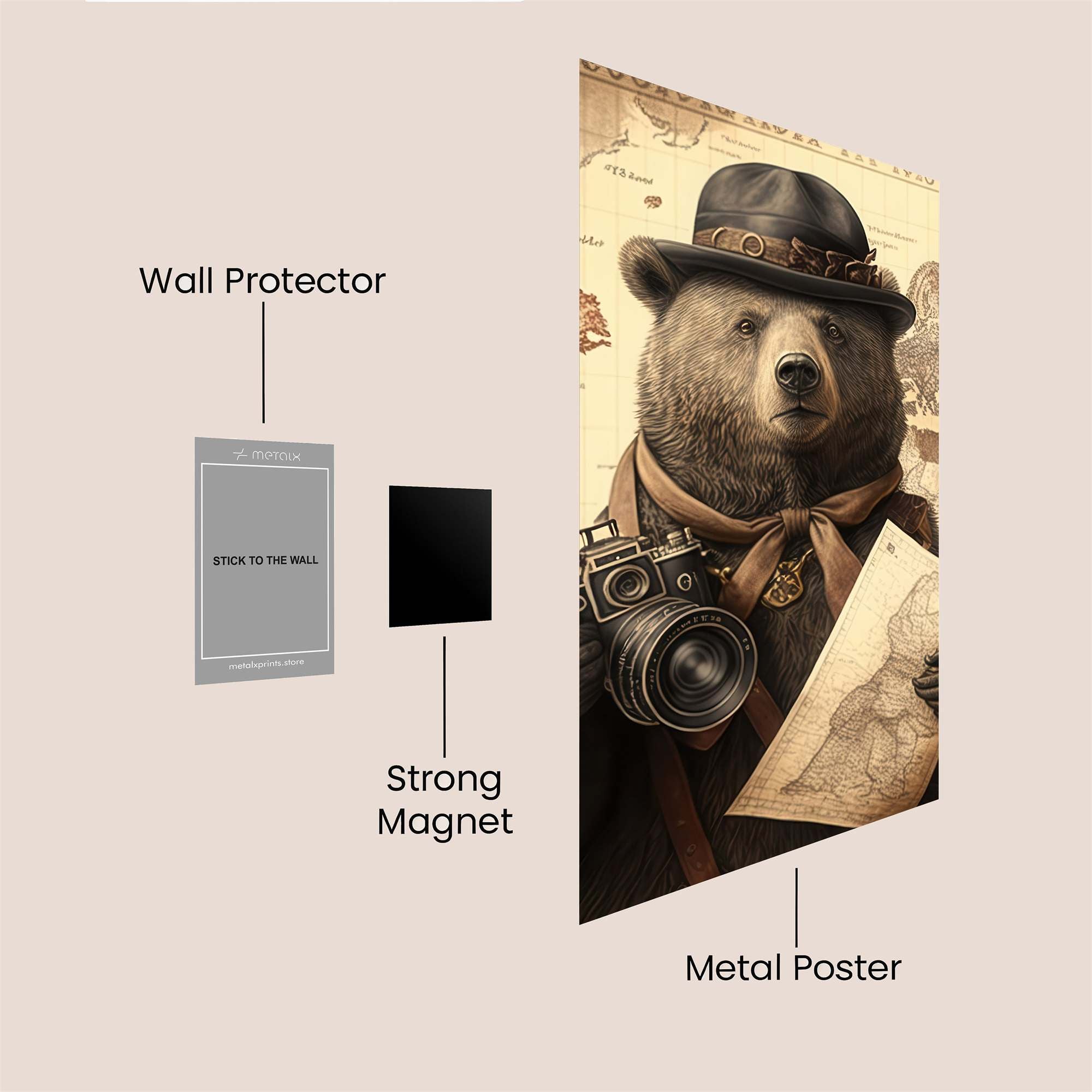 Explorer Bear Safe Wall Magnetic / M