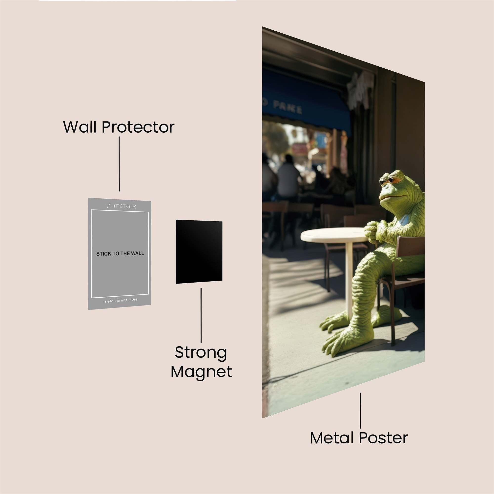 Frog Contemplation Safe Wall Magnetic / M