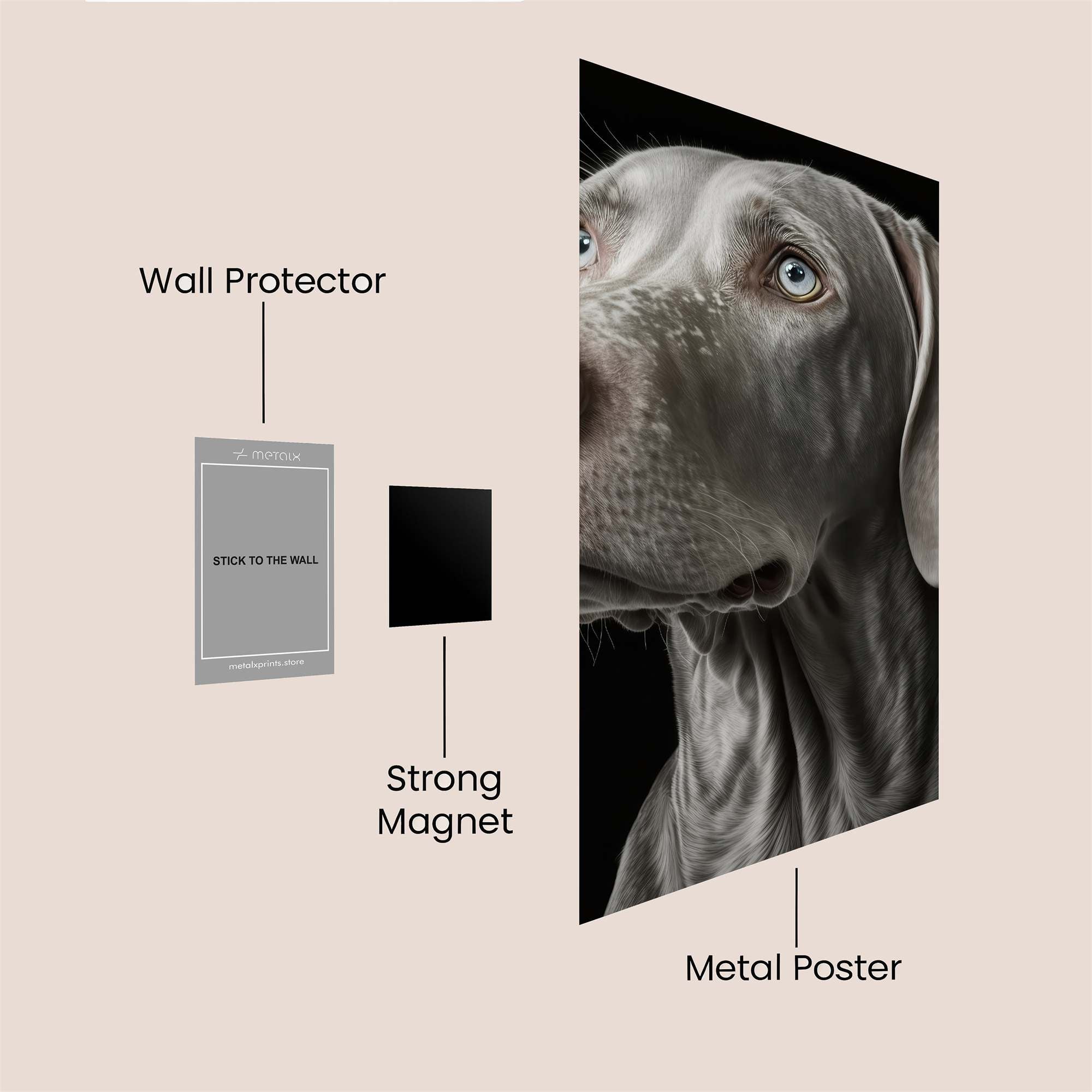 Weimaraner Whimsy Safe Wall Magnetic / M