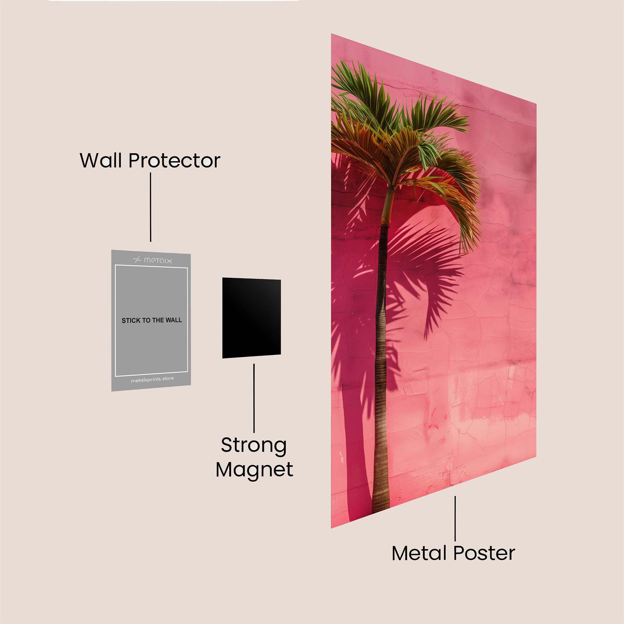 Palm Whimsy Safe Wall Magnetic / M