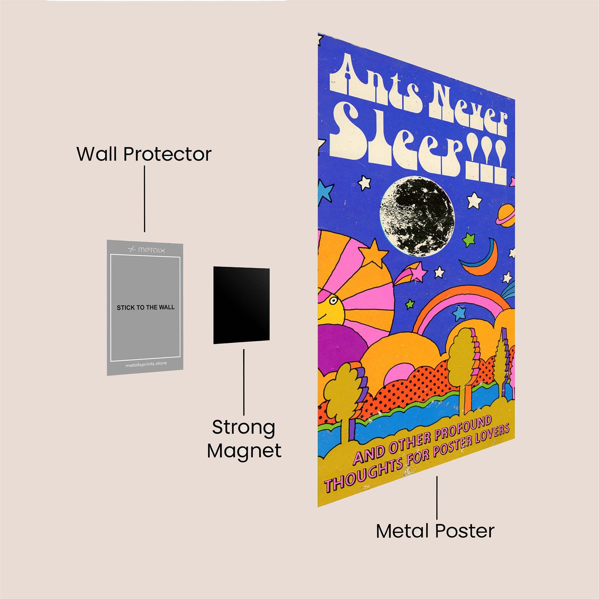 Ants Whimsical Safe Wall Magnetic / M