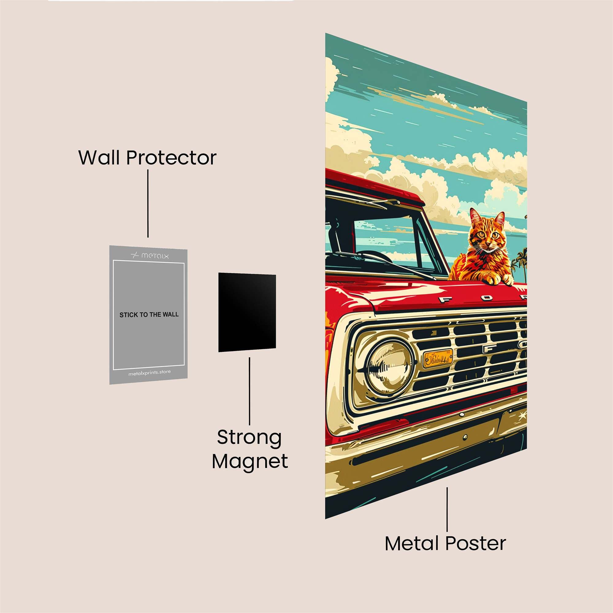 Cat Cruiser Safe Wall Magnetic / M