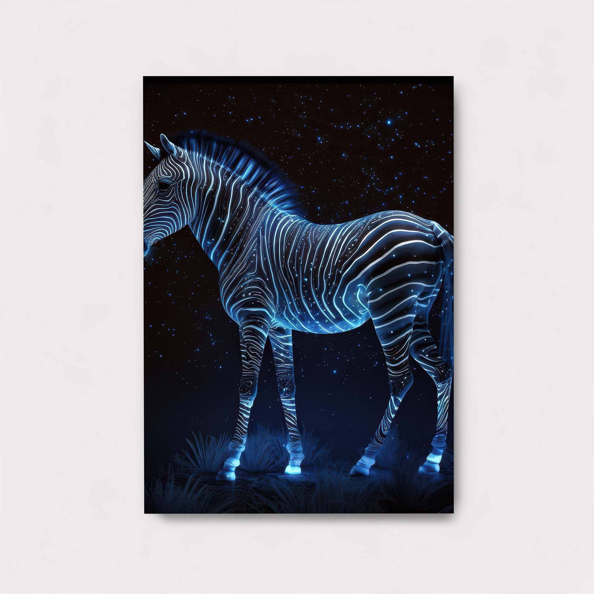 Zebra Cosmic Safe Wall Magnetic / M
