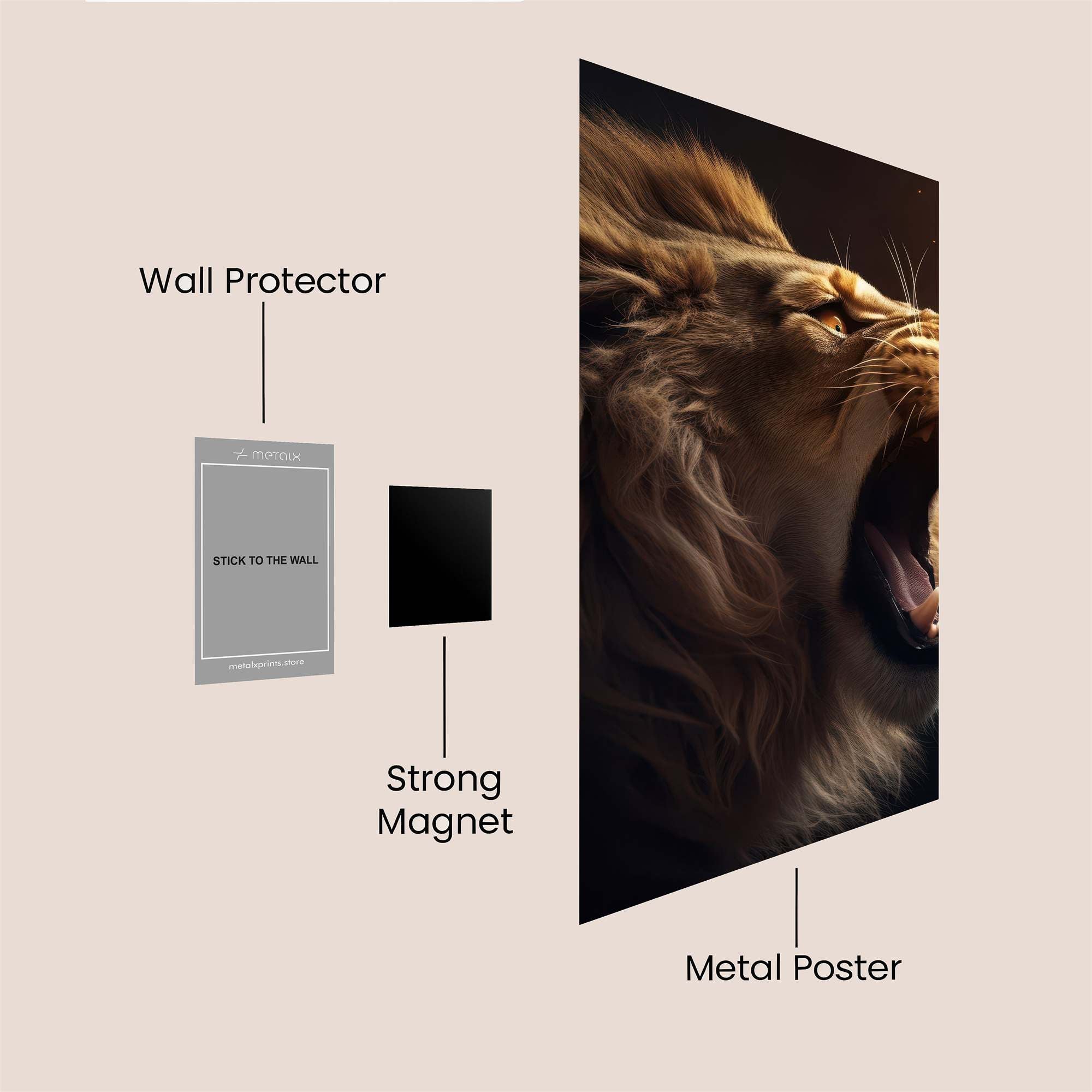 Lion Blaze Safe Wall Magnetic / M