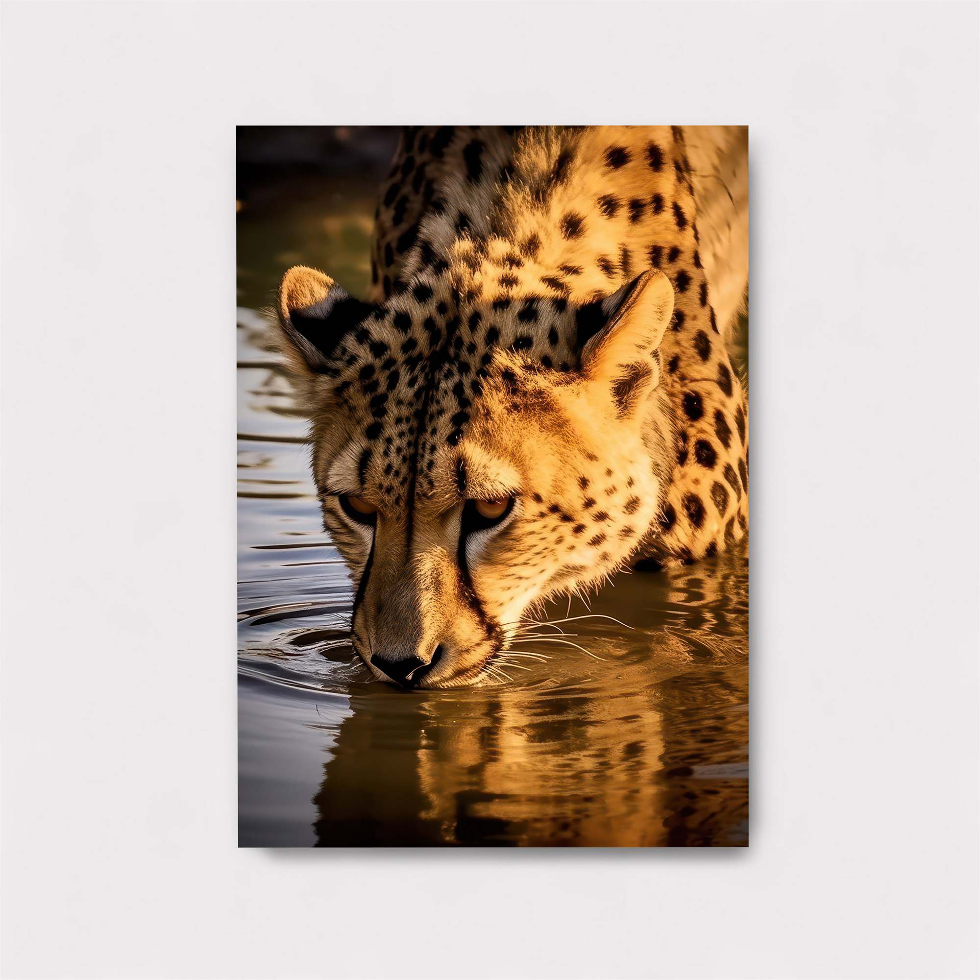 Cheetah Serenity Safe Wall Magnetic / M