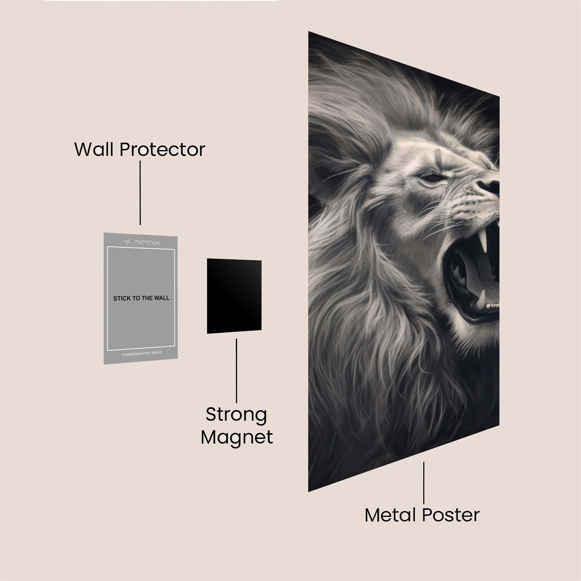 Lion Roar Safe Wall Magnetic / M