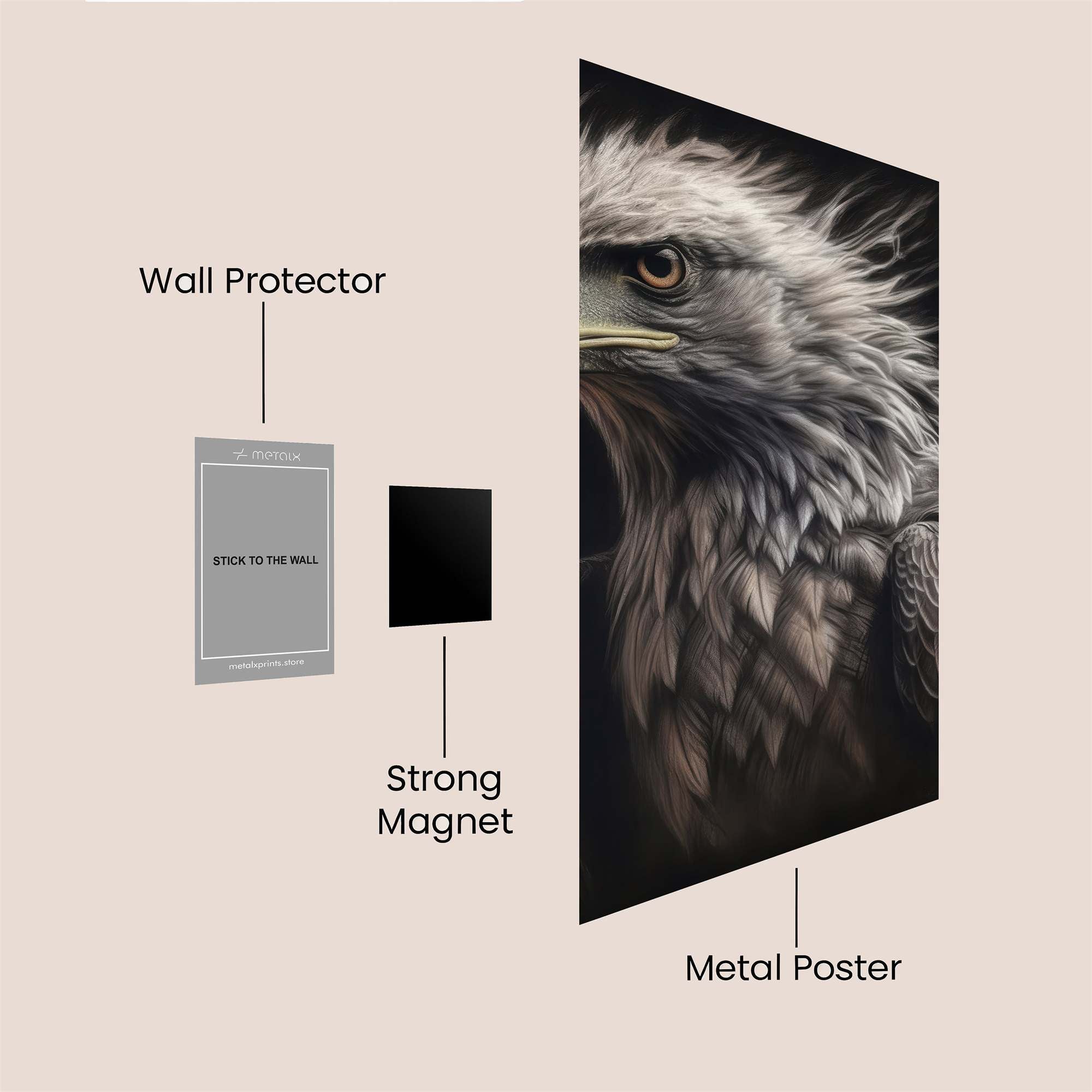 Eagle Majesty Safe Wall Magnetic / M