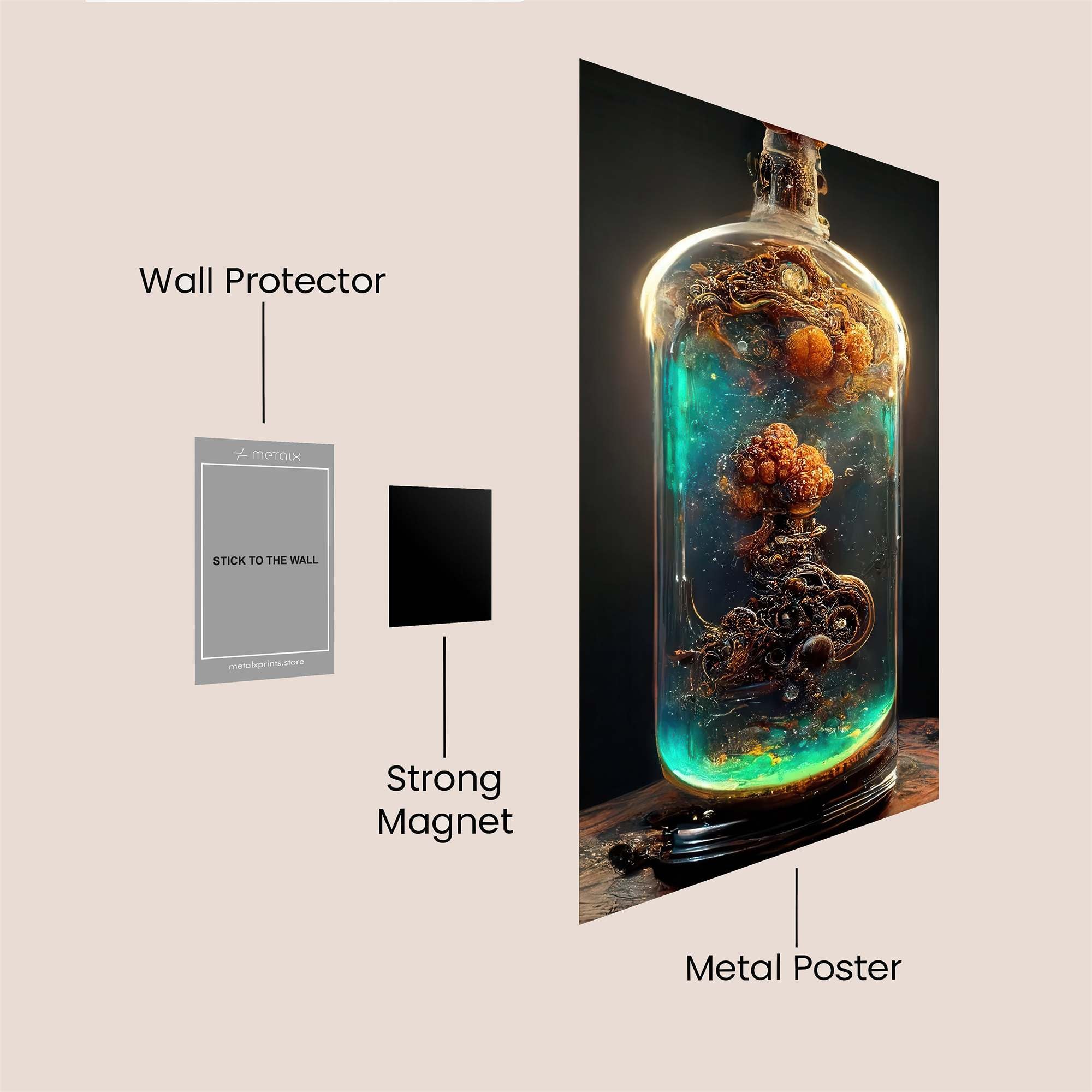 CoralWhisper Safe Wall Magnetic / M