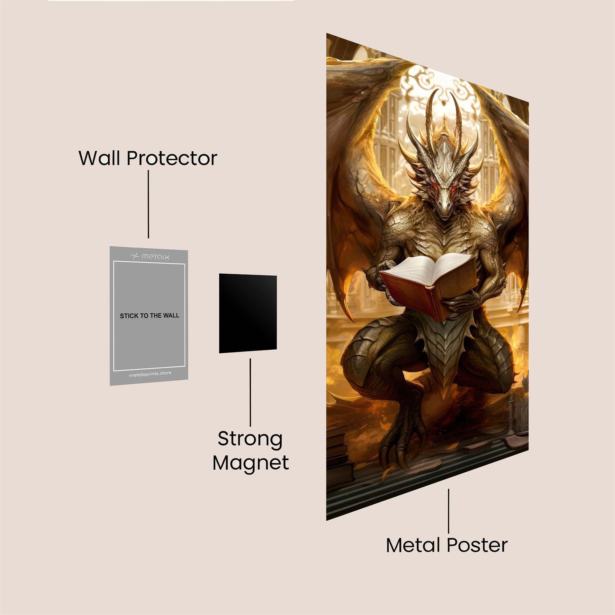 Dragon Scholar Safe Wall Magnetic / M