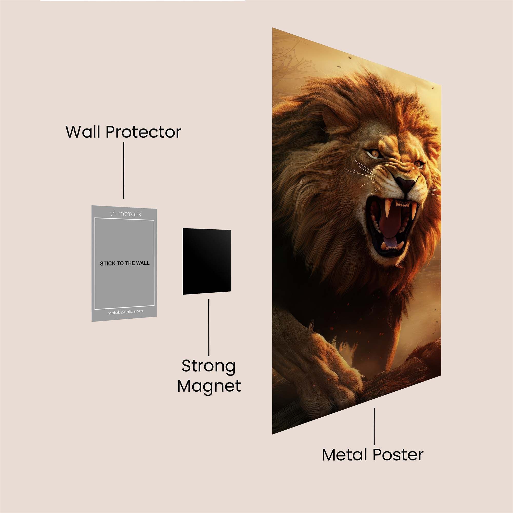 Lion Rage Safe Wall Magnetic / M