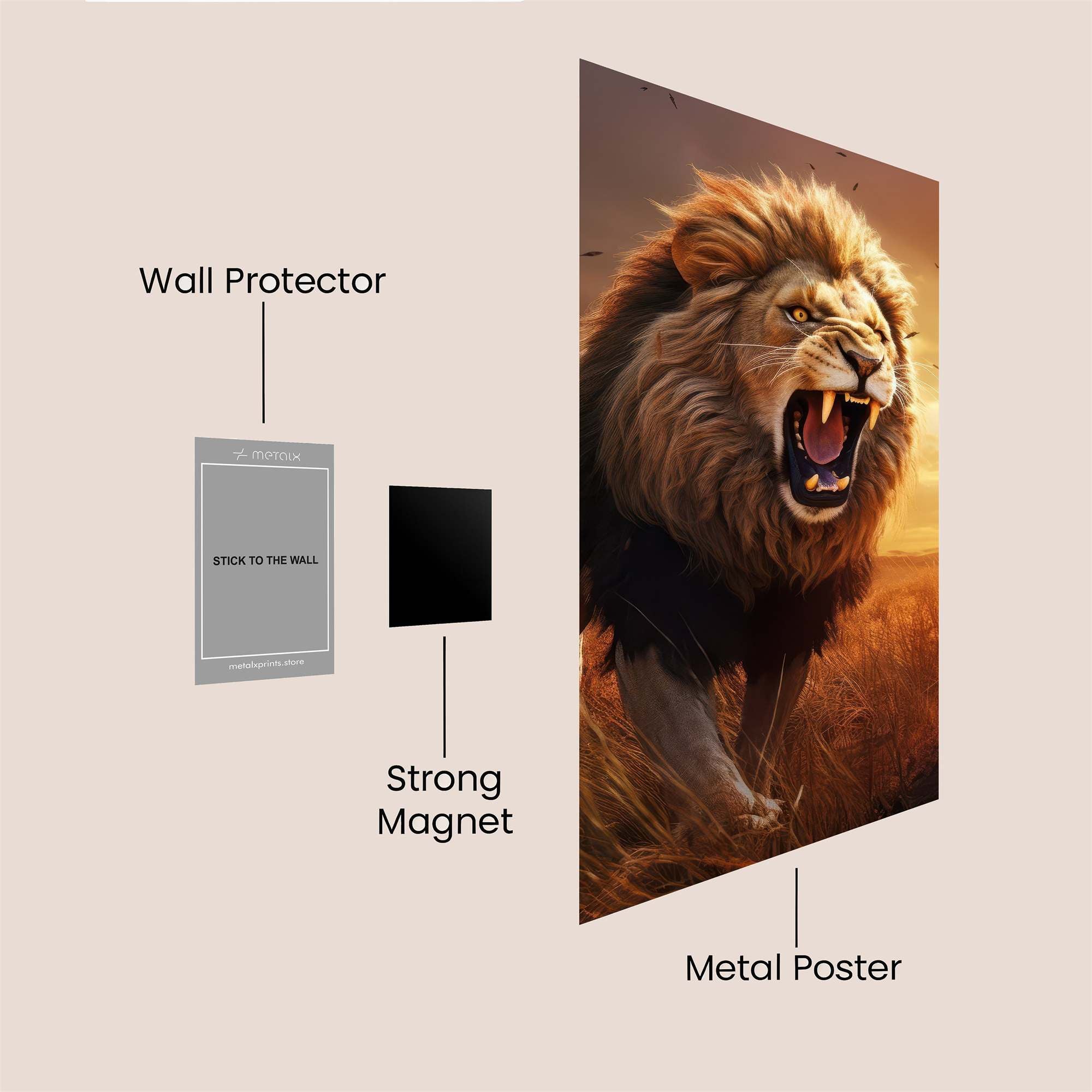 Lion Blaze Safe Wall Magnetic / M