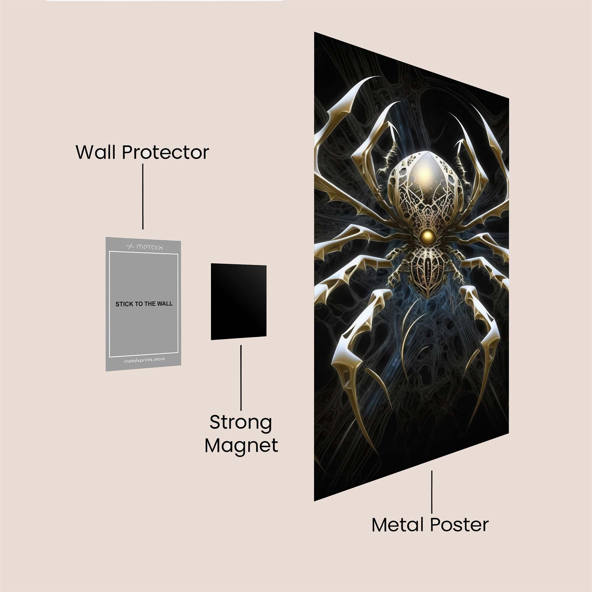 Spider Majesty Safe Wall Magnetic / M