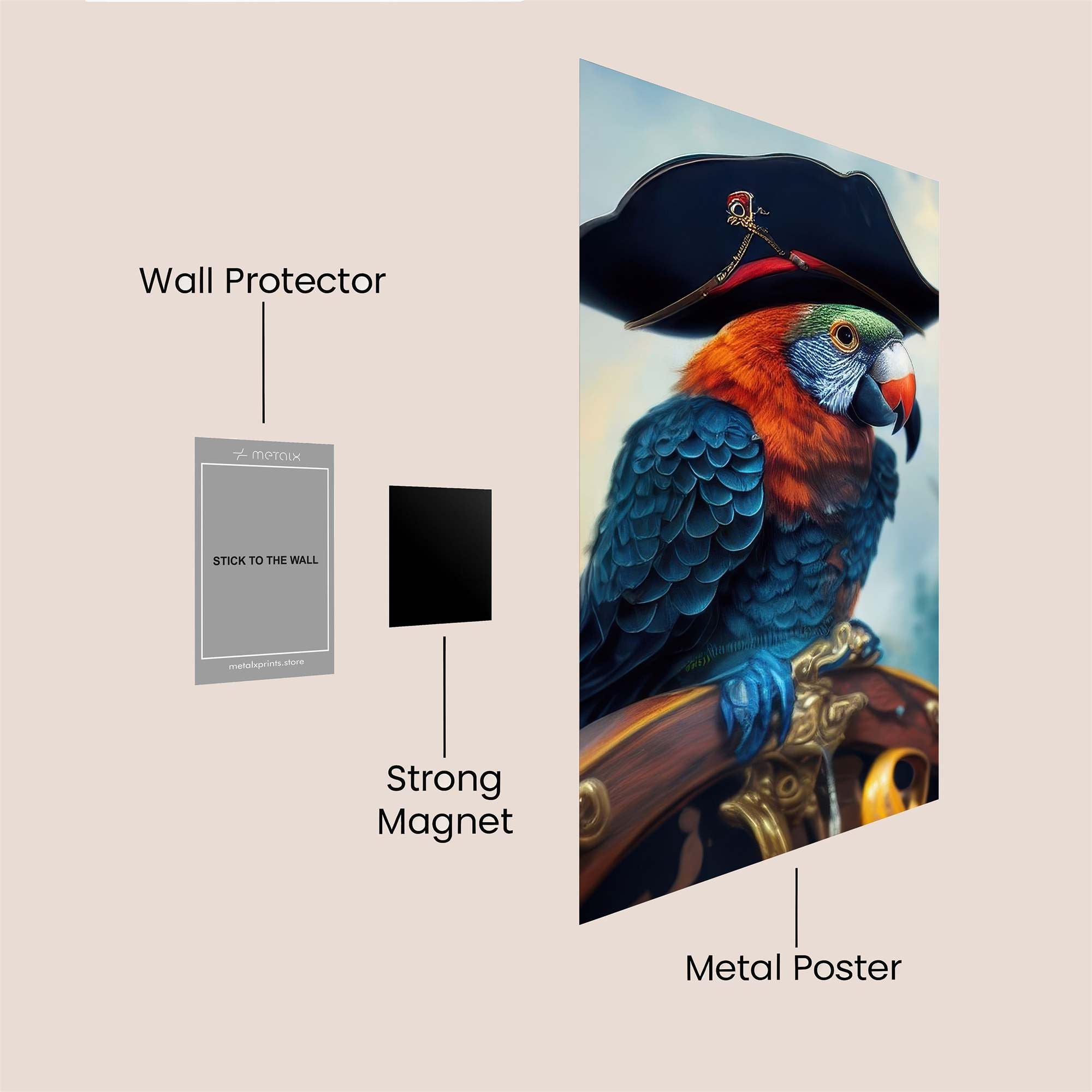 Captain Whimsical Safe Wall Magnetic / M