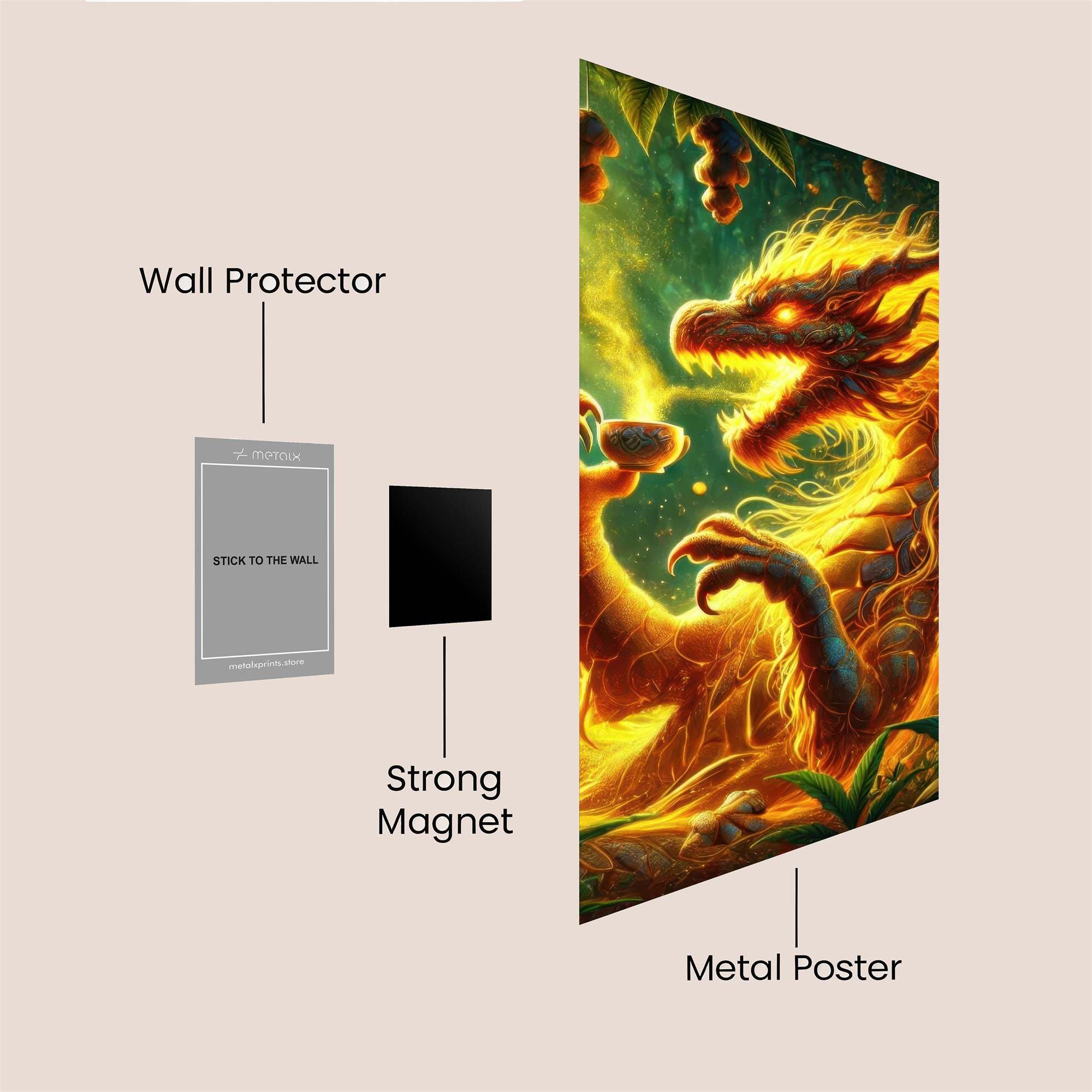 Dragon Whimsy Safe Wall Magnetic / M