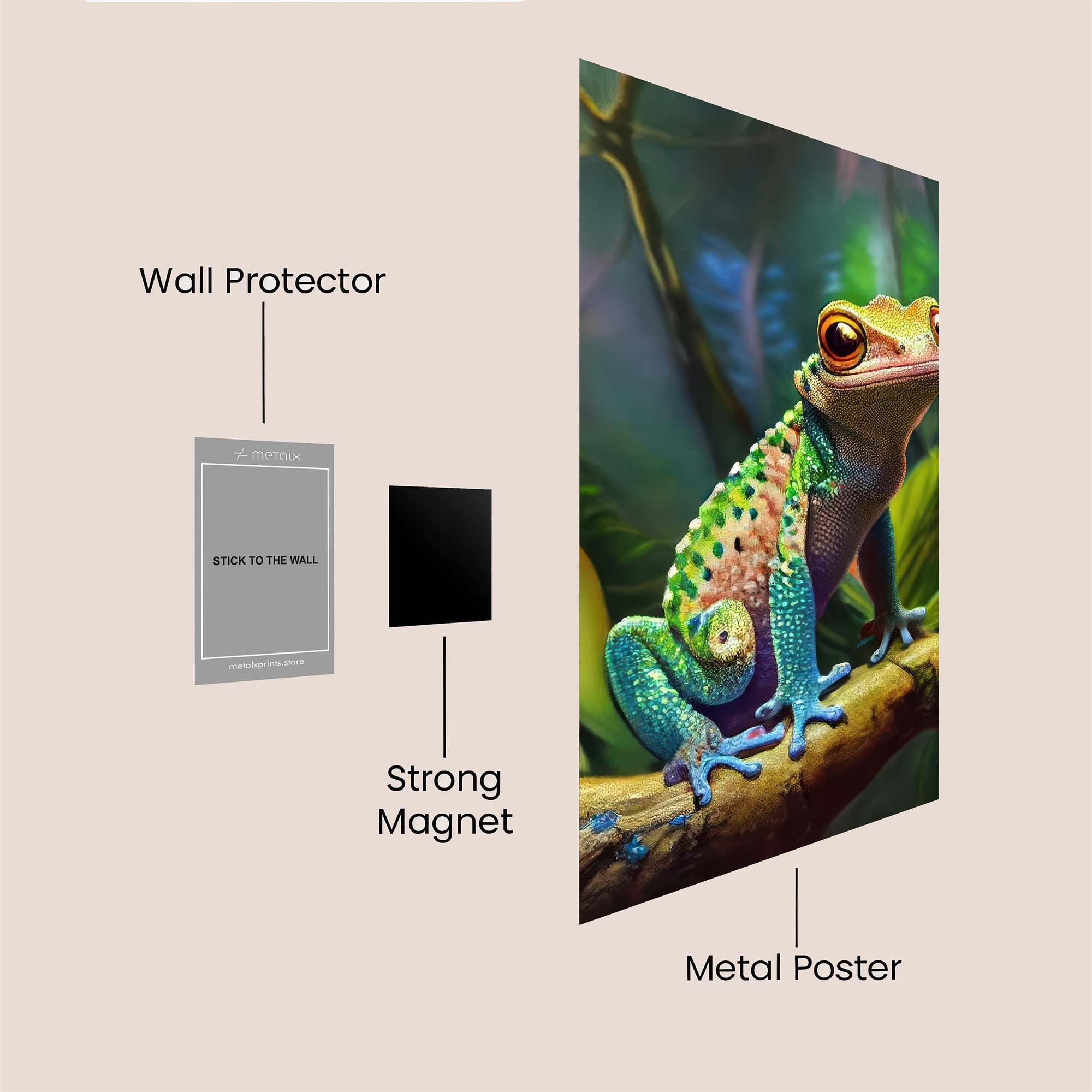 Frog Radiant Safe Wall Magnetic / M