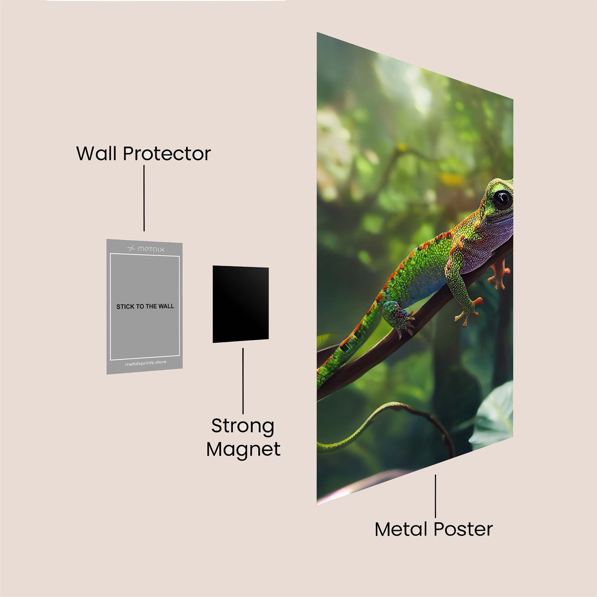 Gecko Radiance Safe Wall Magnetic / M