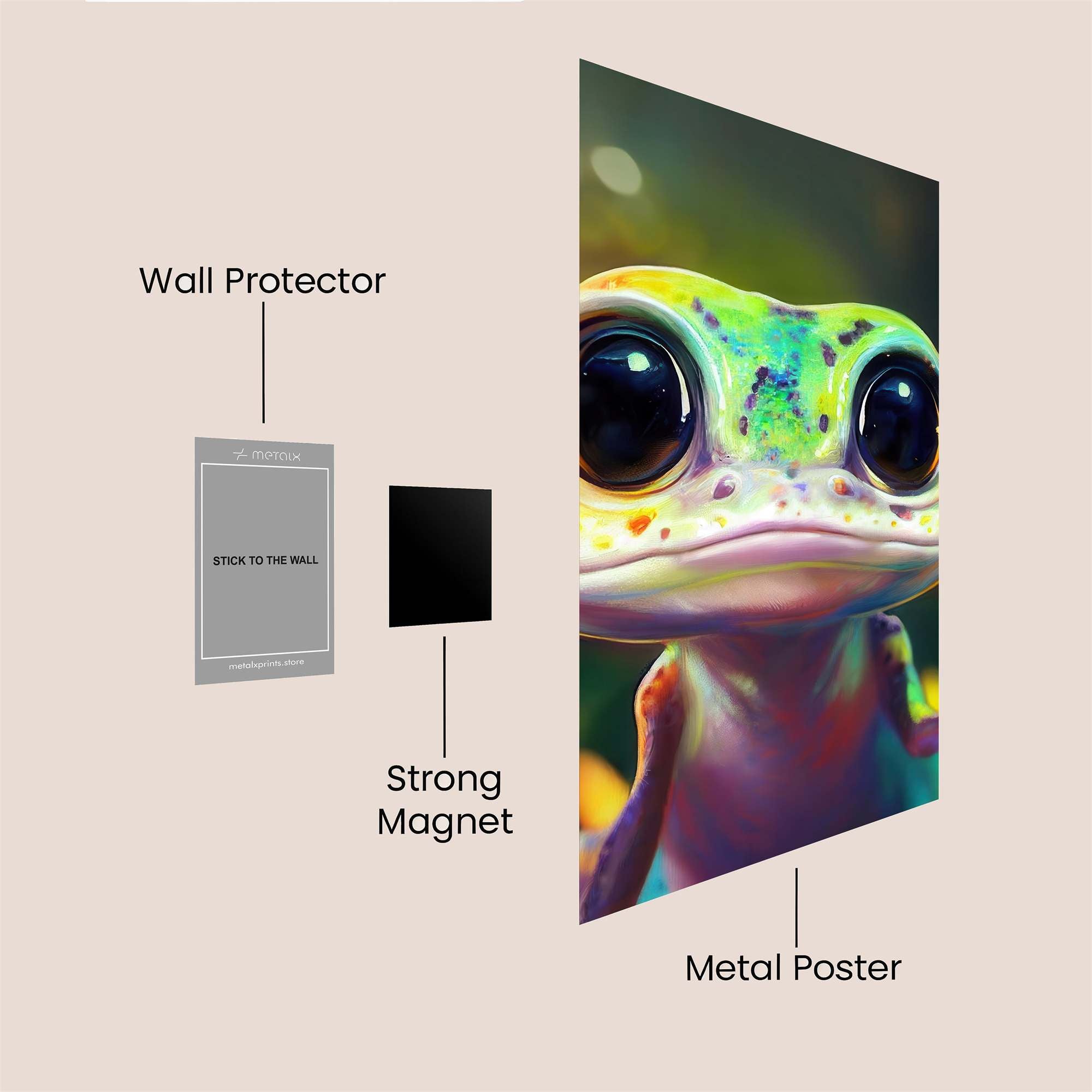 Froggy Delight Safe Wall Magnetic / M