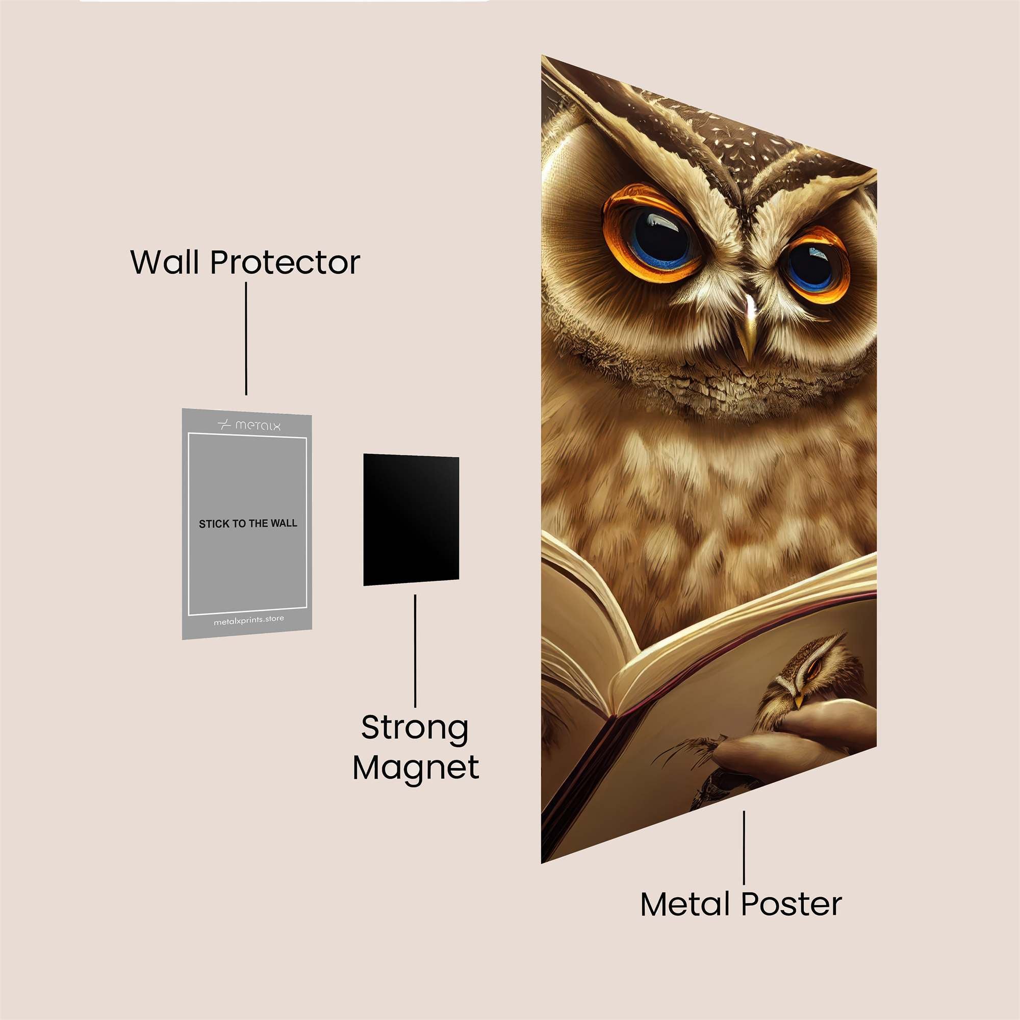 Owl Scholar Safe Wall Magnetic / M