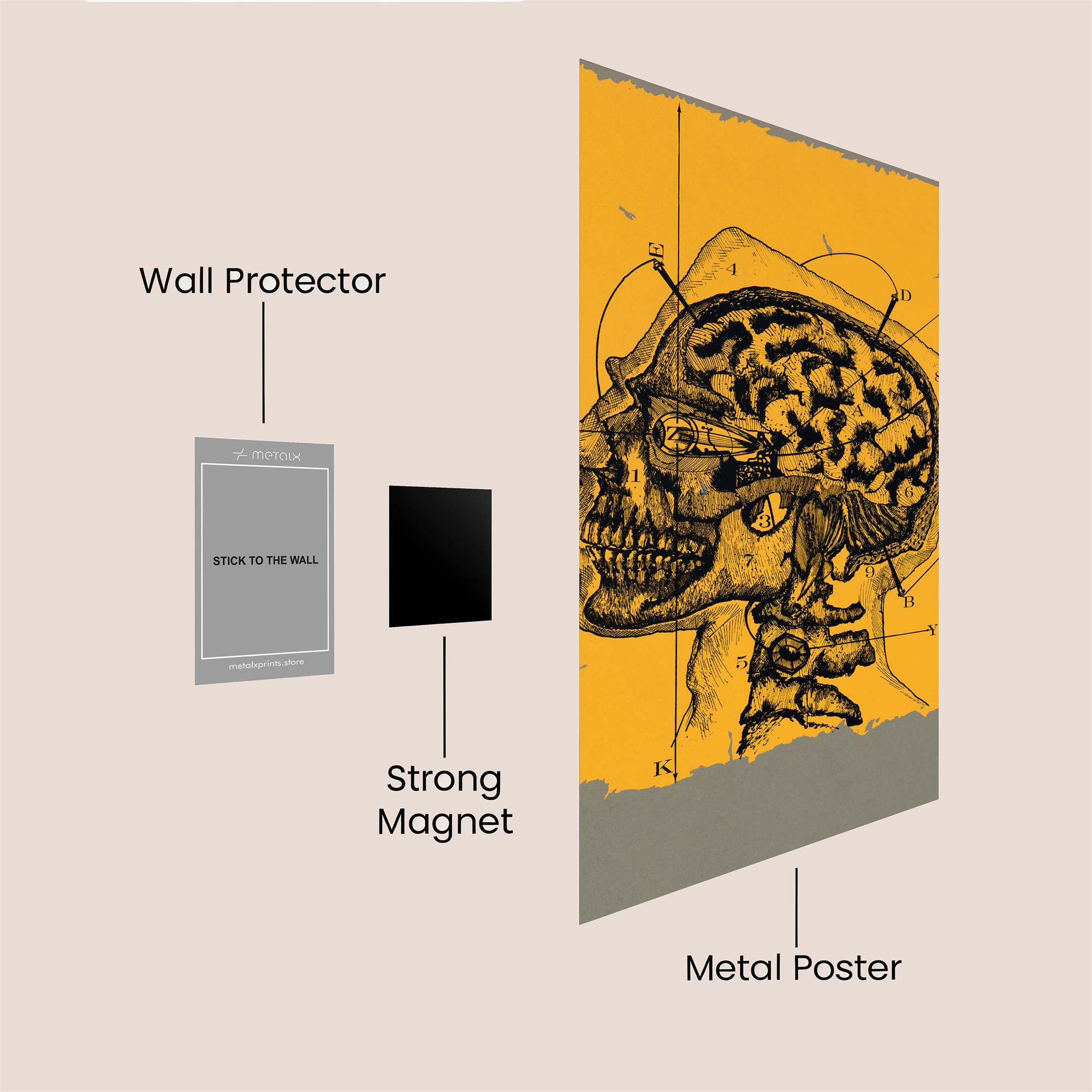 Mindful Introspection Safe Wall Magnetic / M