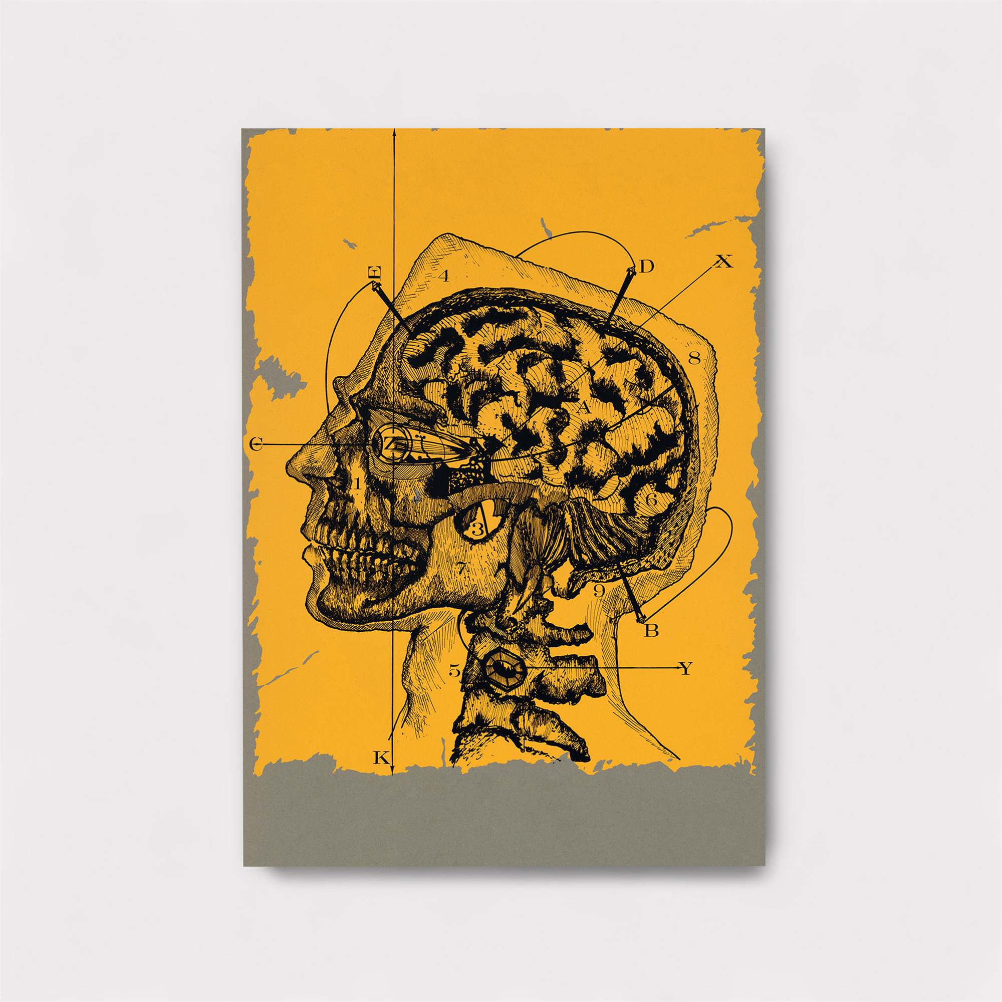 Mindful Introspection Safe Wall Magnetic / M