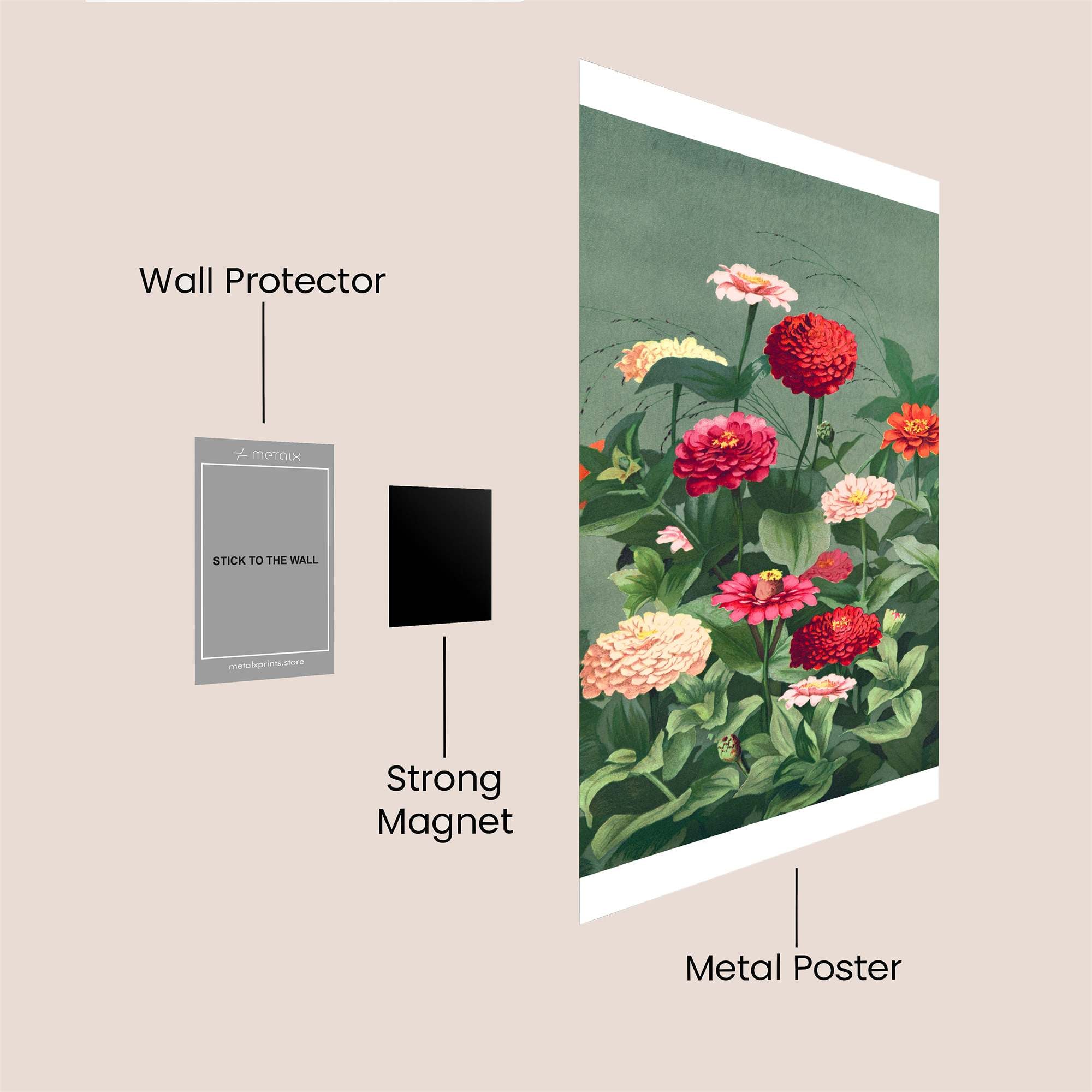 Zinnia Zeal Safe Wall Magnetic / M