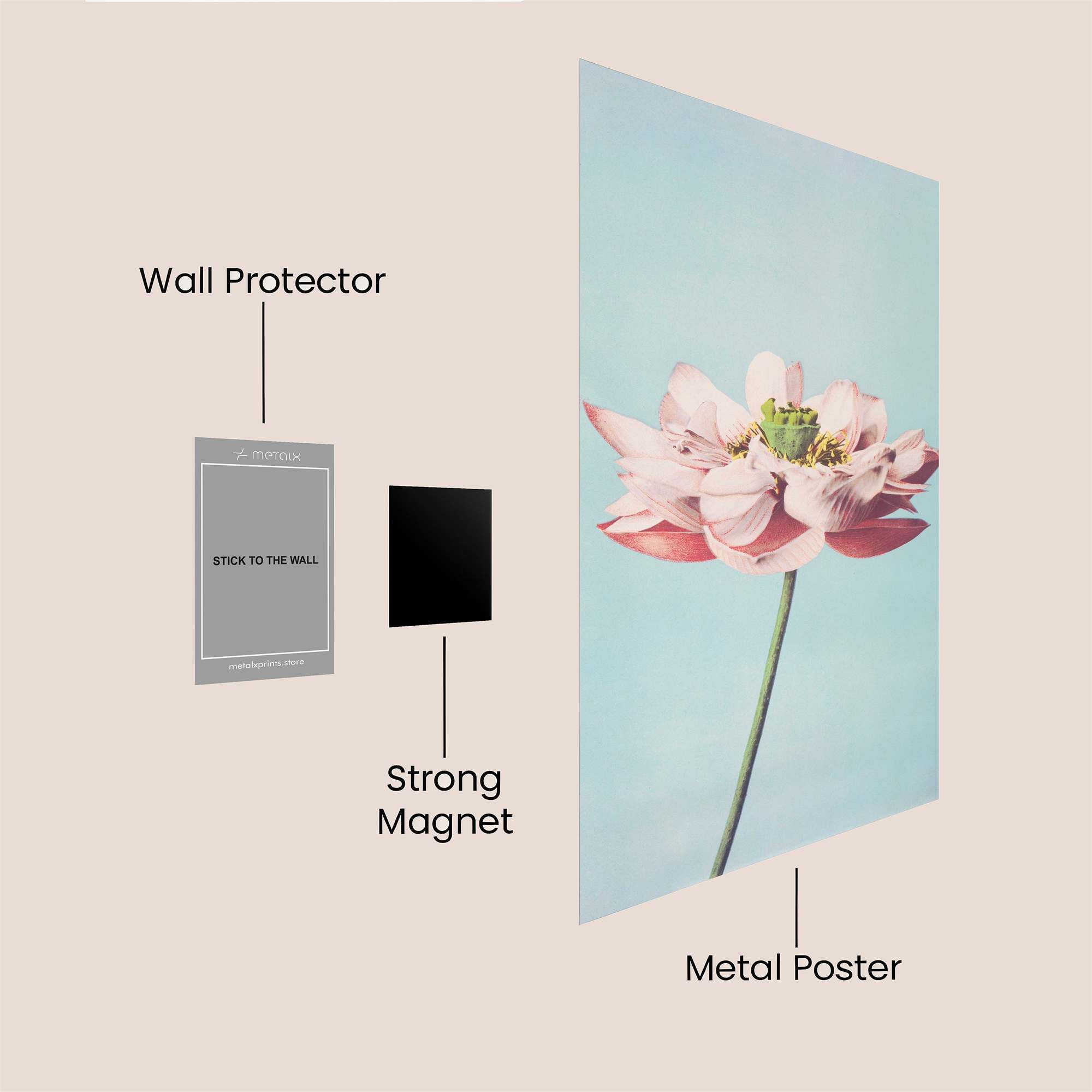 Lotus Serenity Safe Wall Magnetic / M