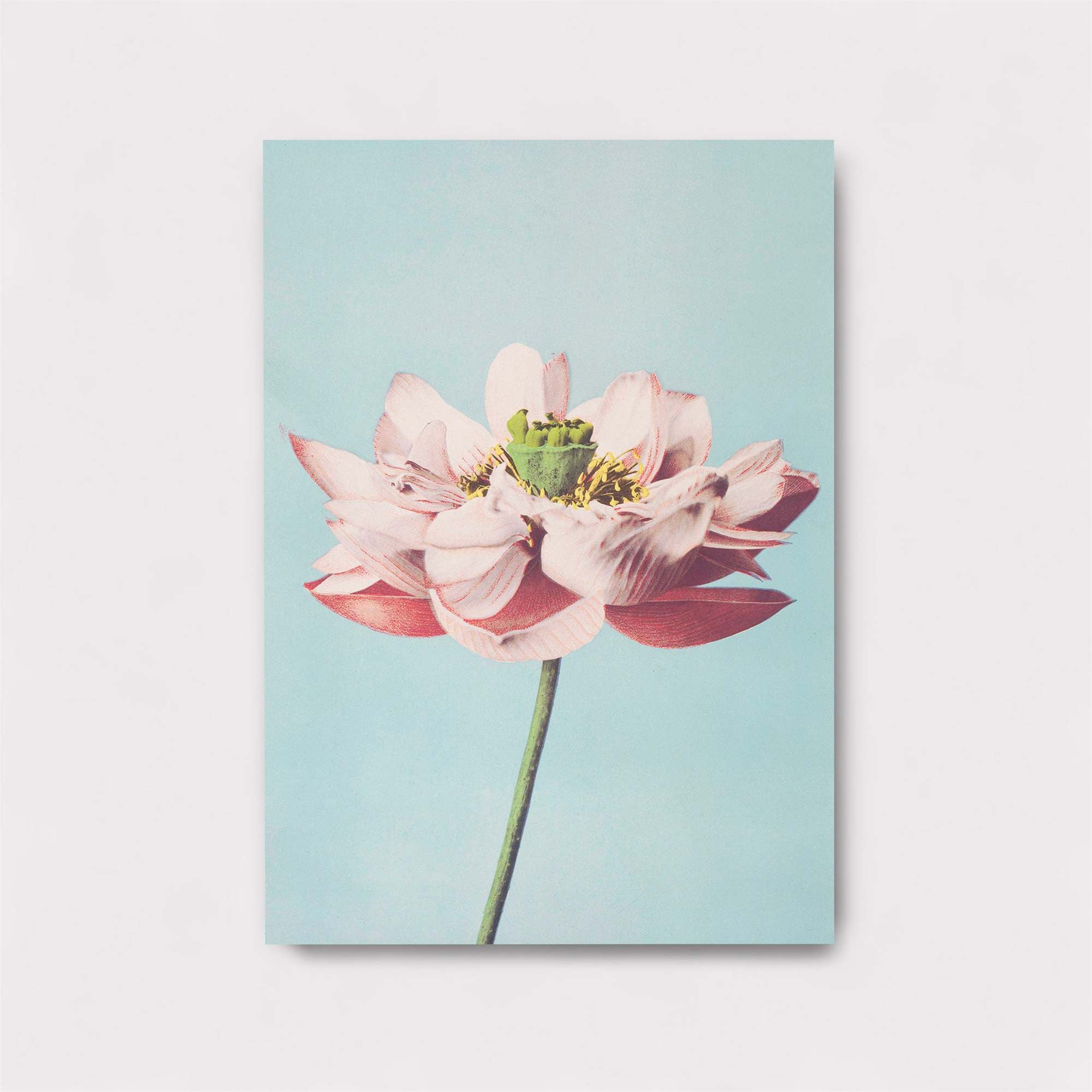 Lotus Serenity Safe Wall Magnetic / M