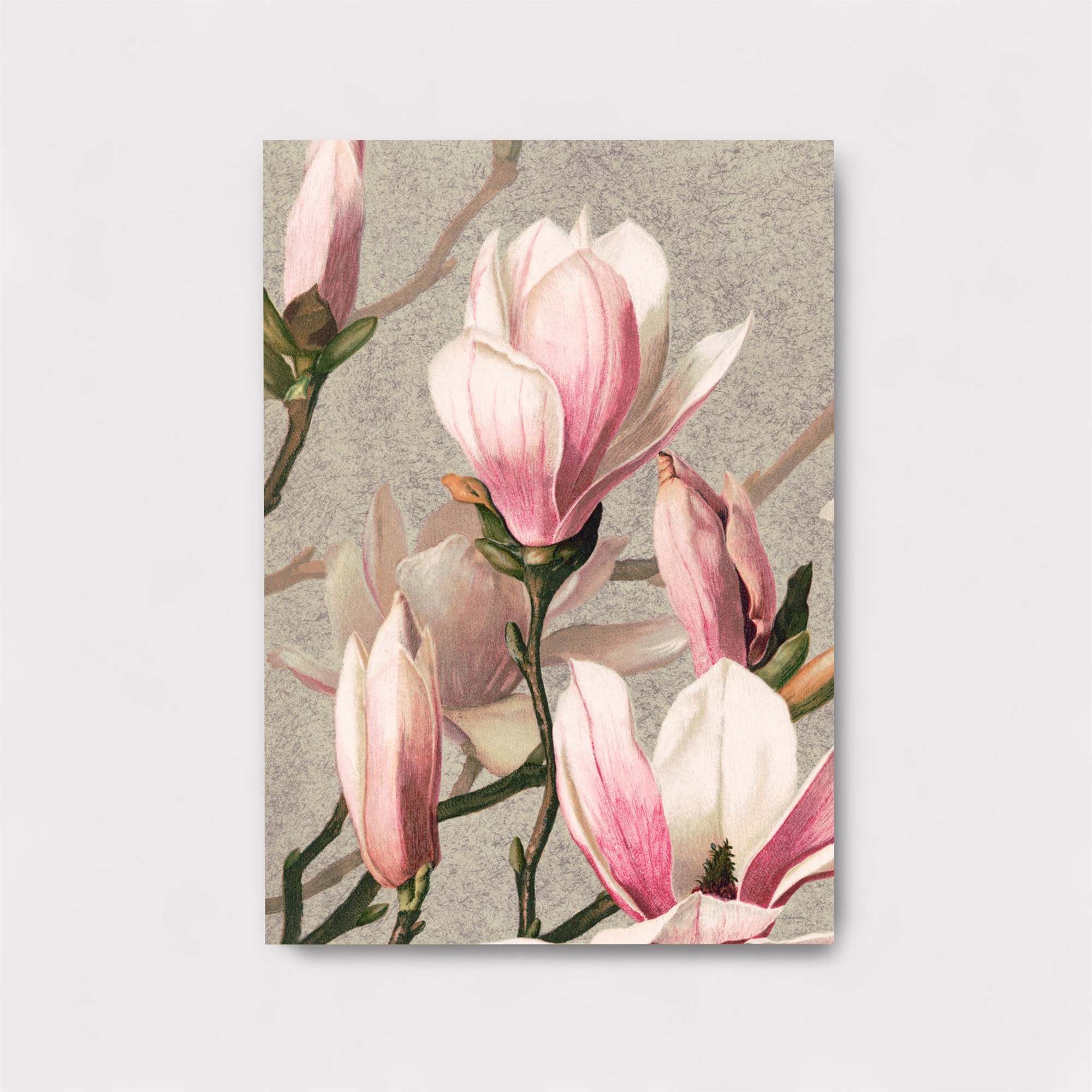 Magnolia Serenity Safe Wall Magnetic / M