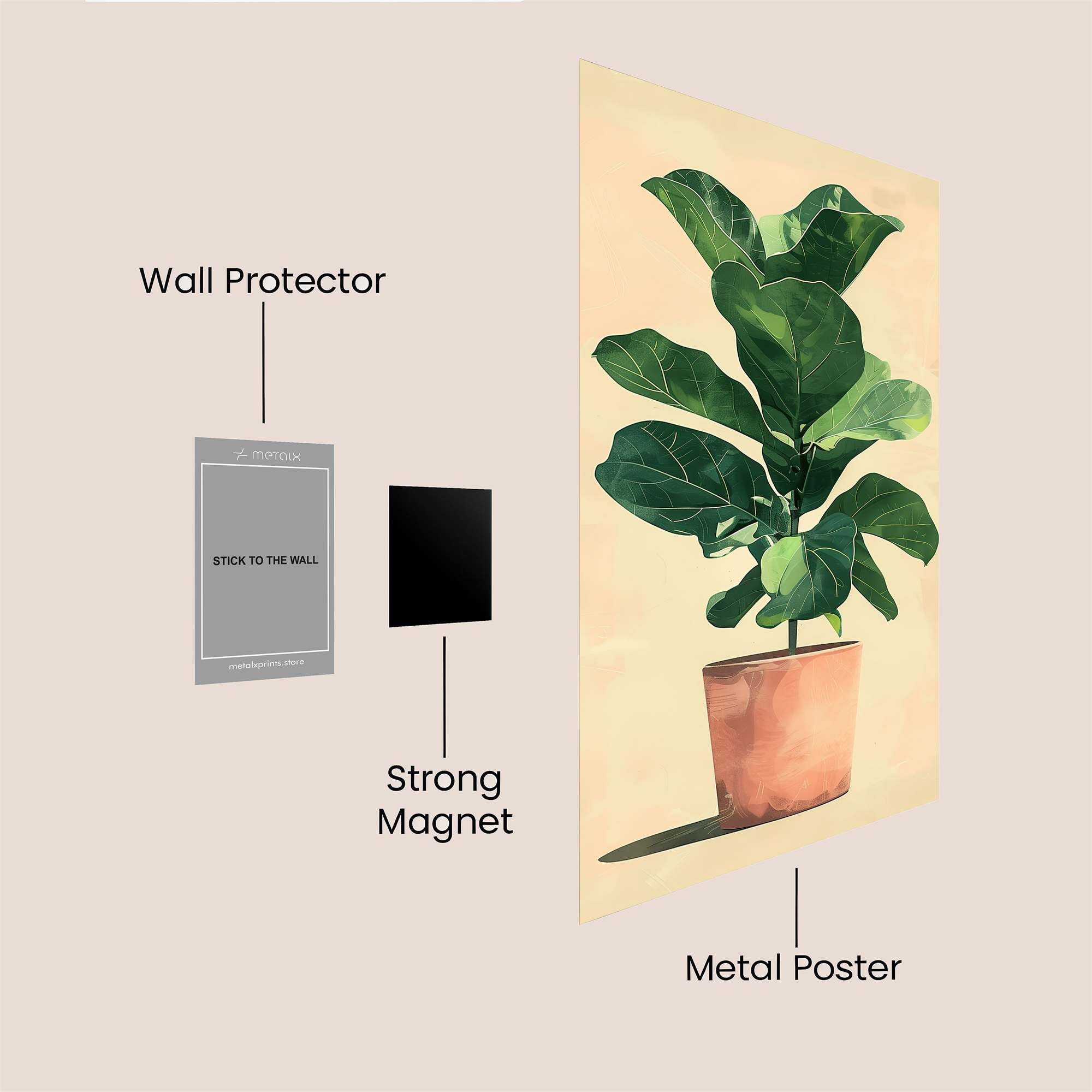 Fiddleleaf Serenity Safe Wall Magnetic / M