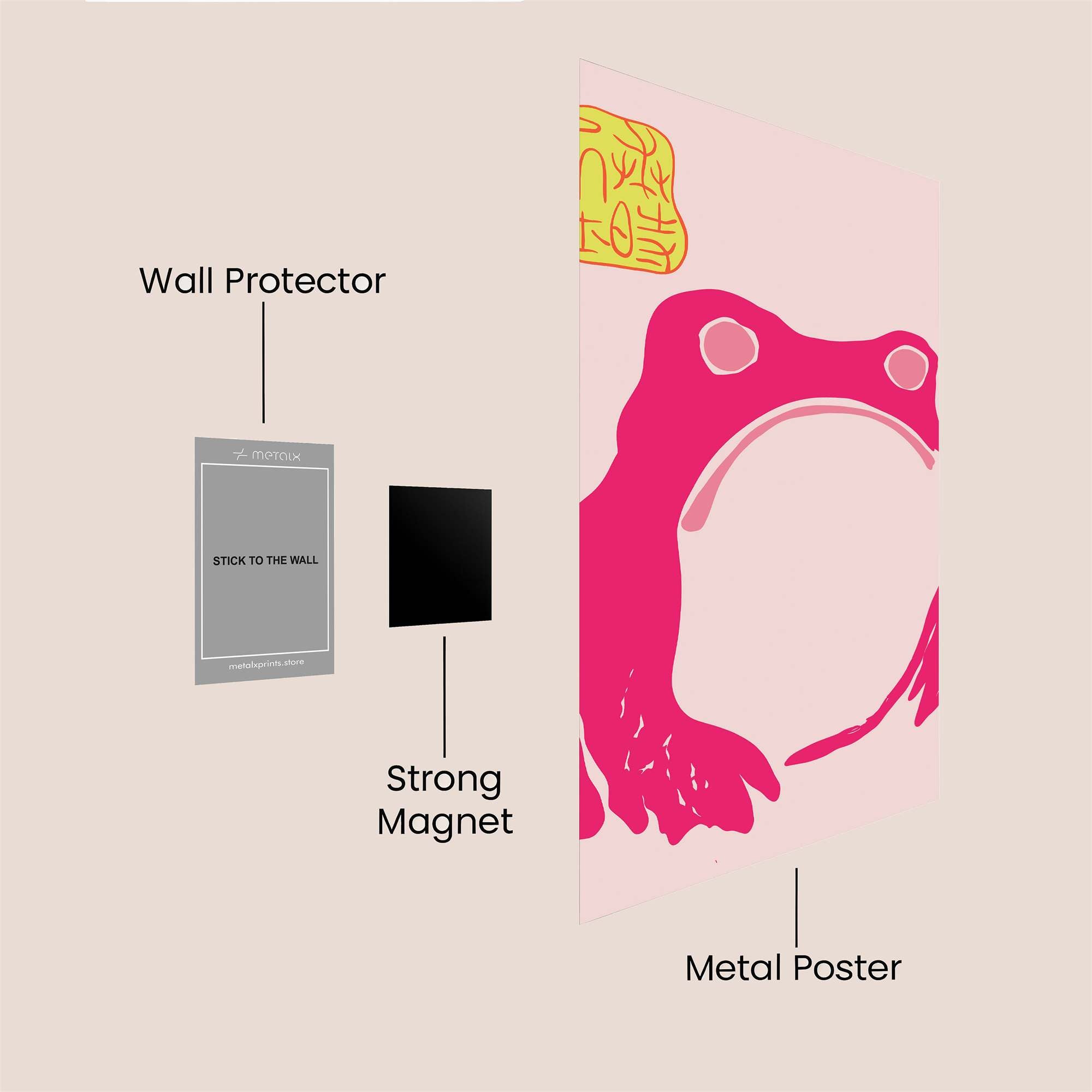 Frog Joy Safe Wall Magnetic / M