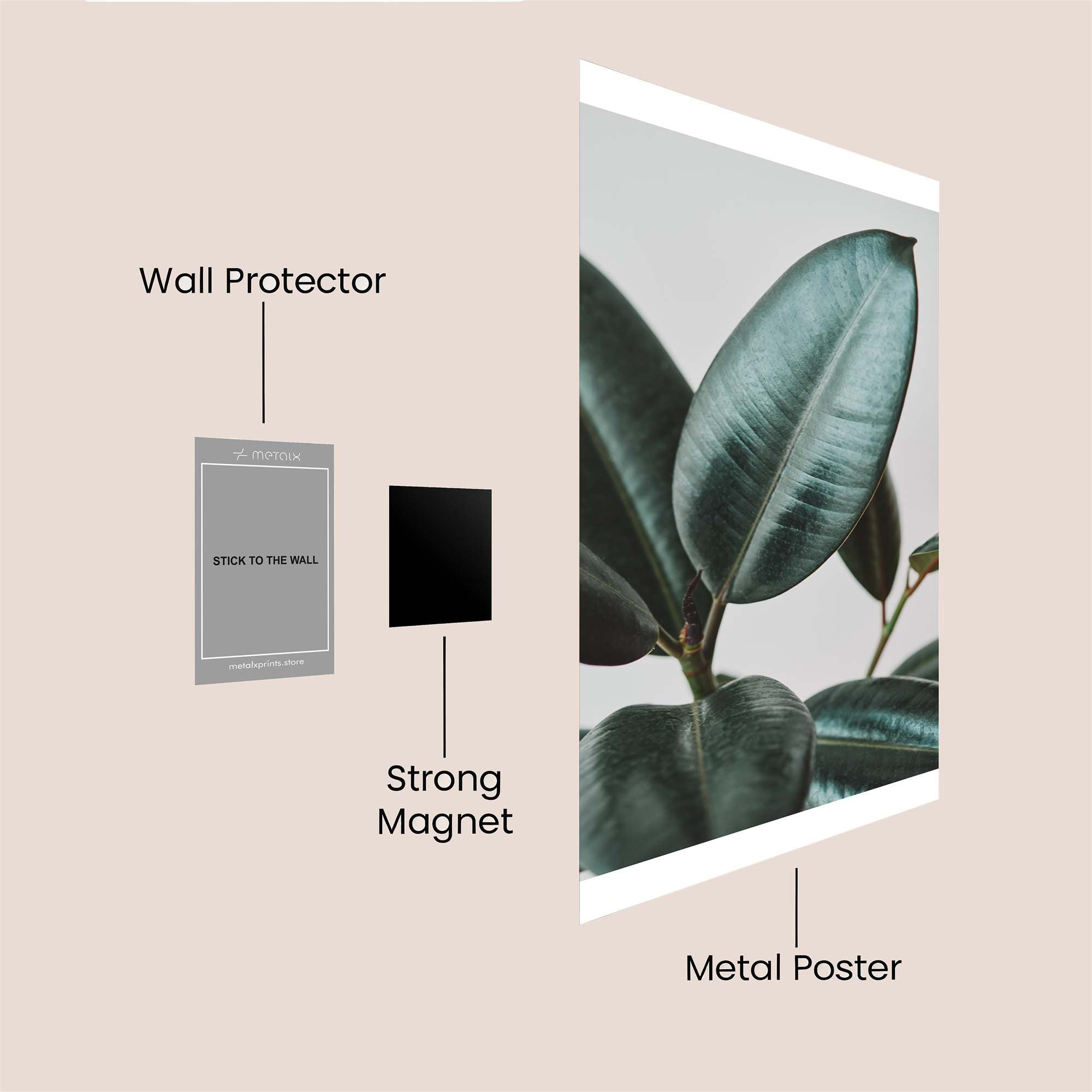 Rubber Serenity Safe Wall Magnetic / M