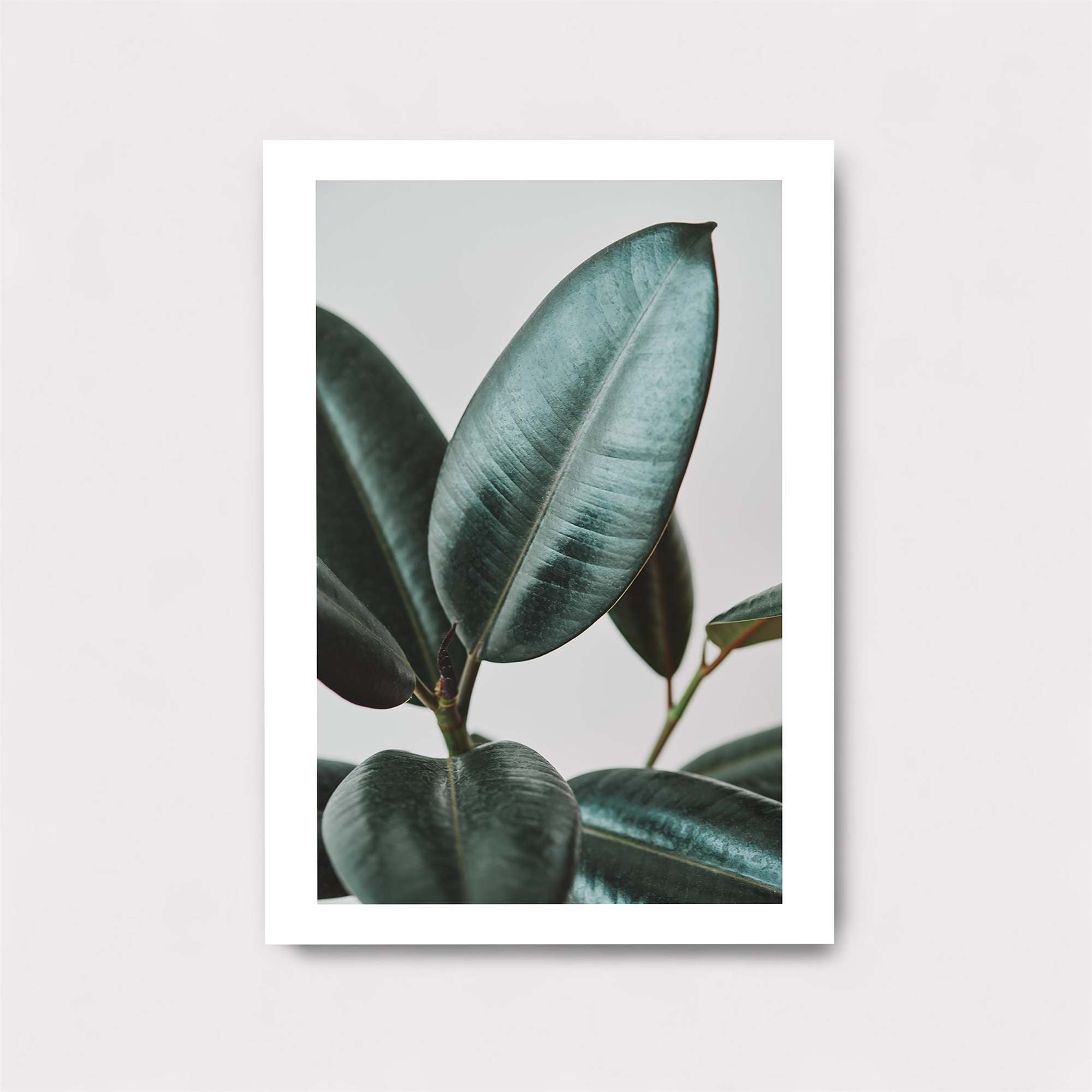 Rubber Serenity Safe Wall Magnetic / M