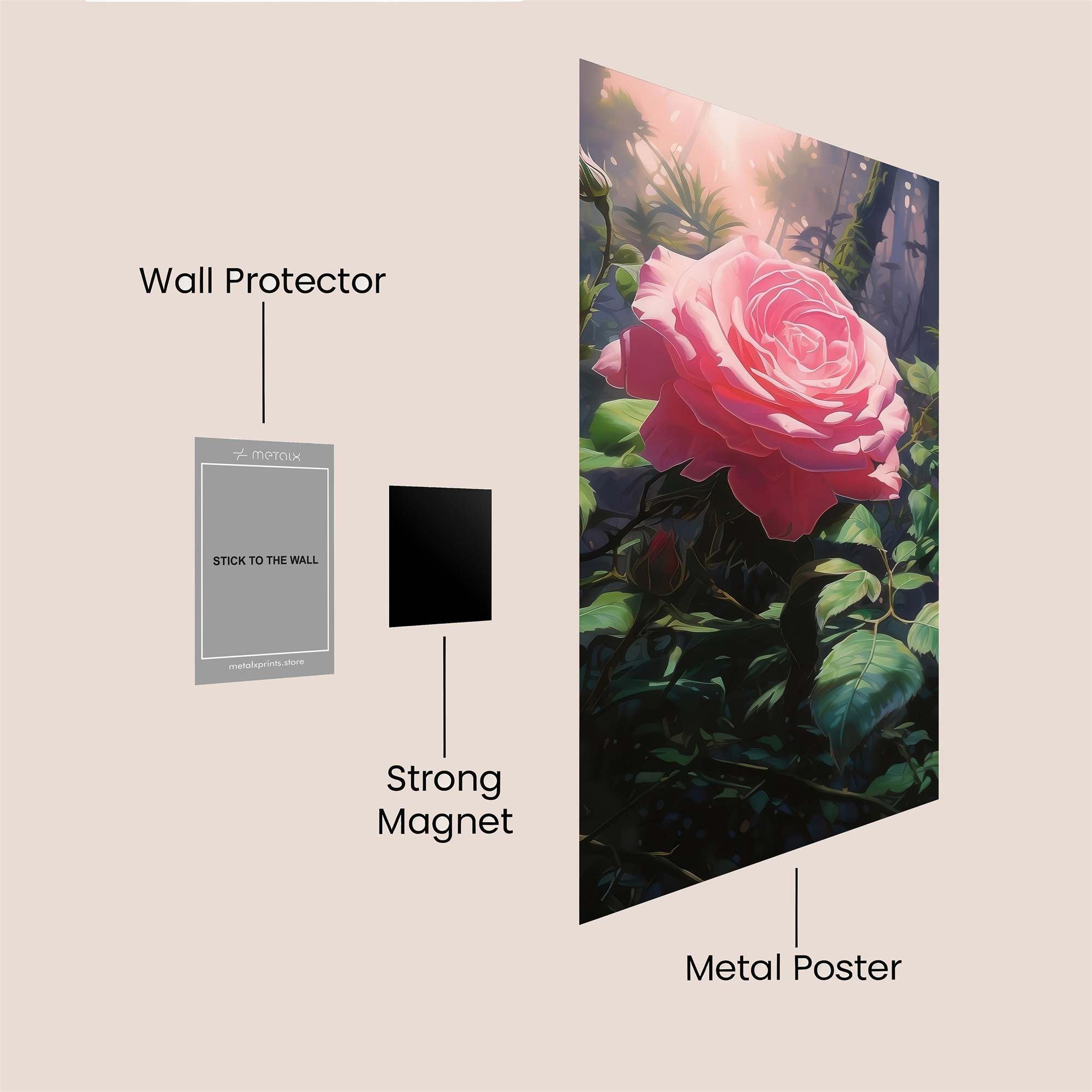 Rose Radiance Safe Wall Magnetic / M